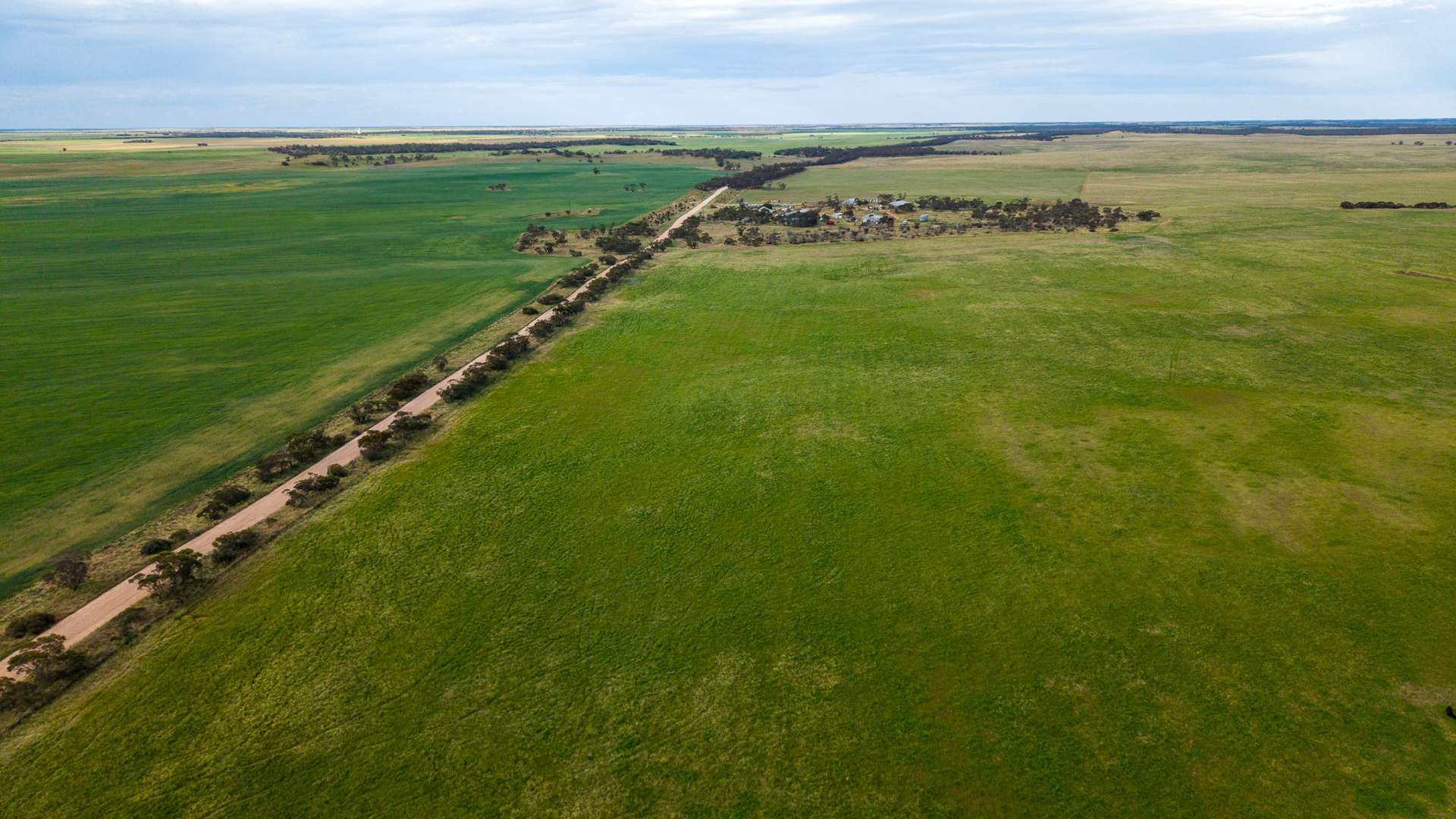 602 McCabe Road, Wanbi For Sale by Farmbuy.com - image 7