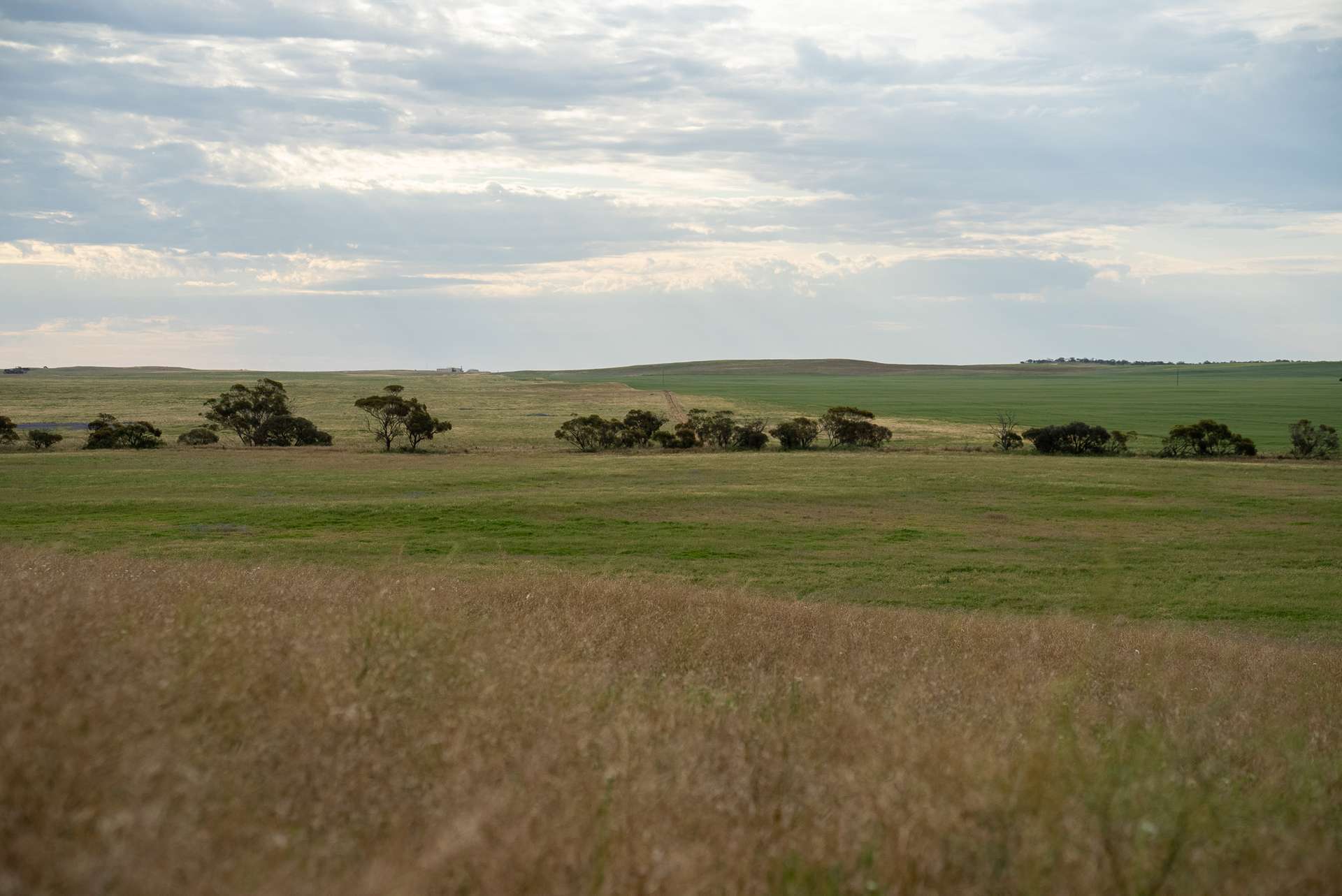 602 McCabe Road, Wanbi For Sale by Farmbuy.com - image 14