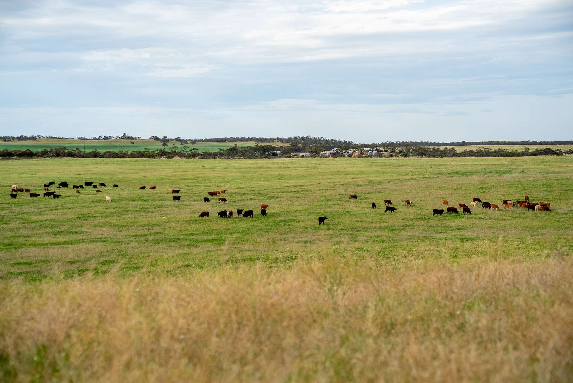 602 McCabe Road, Wanbi For Sale by Farmbuy.com - image 2