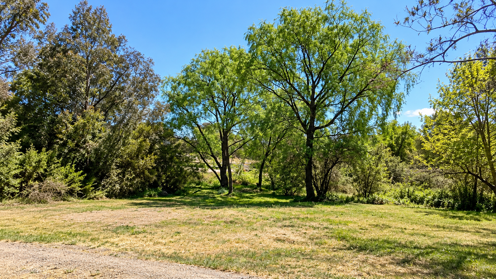 17-19 Elizabeth Avenue, Uralla For Sale by Farmbuy.com - image 13