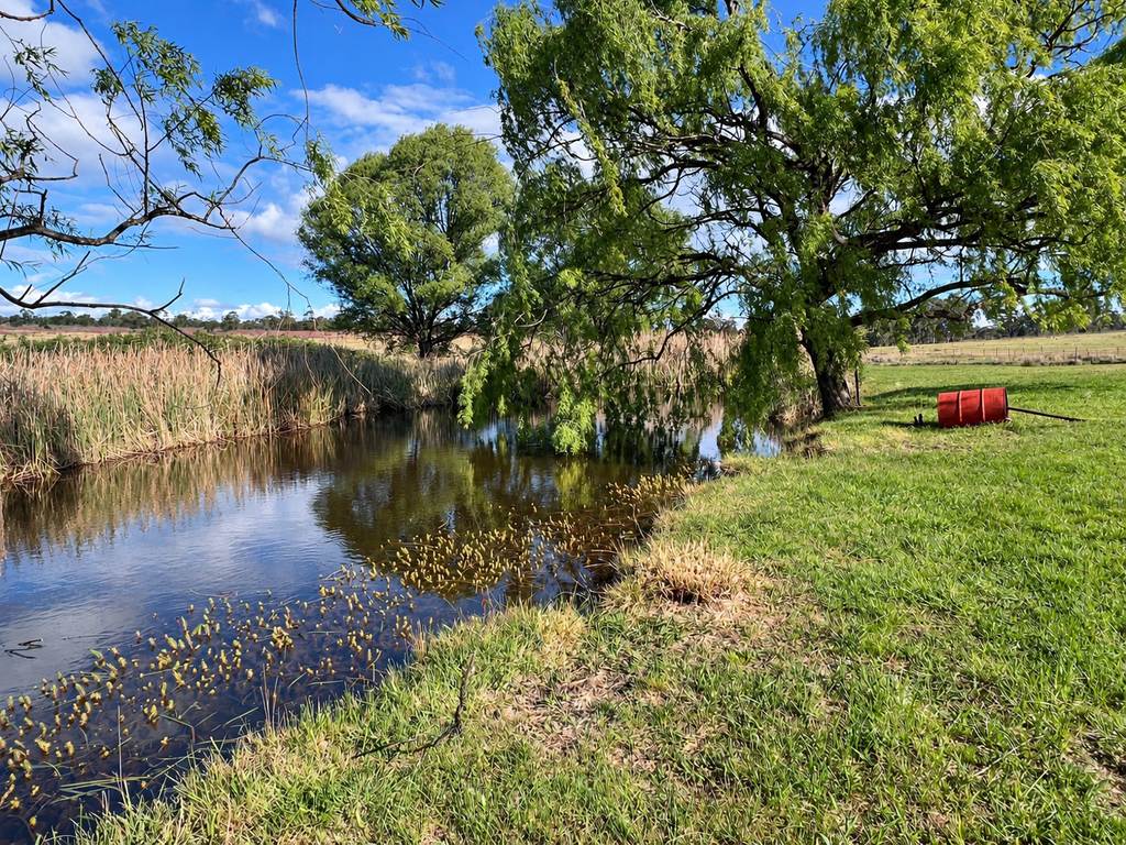 459 Jerrara Road, Marulan NSW 2579