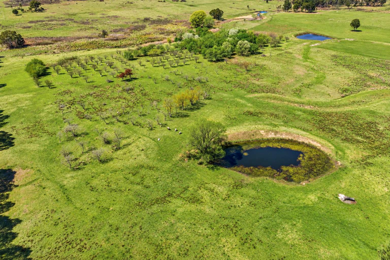 459 Jerrara Road, Marulan For Sale by Farmbuy.com - image 8