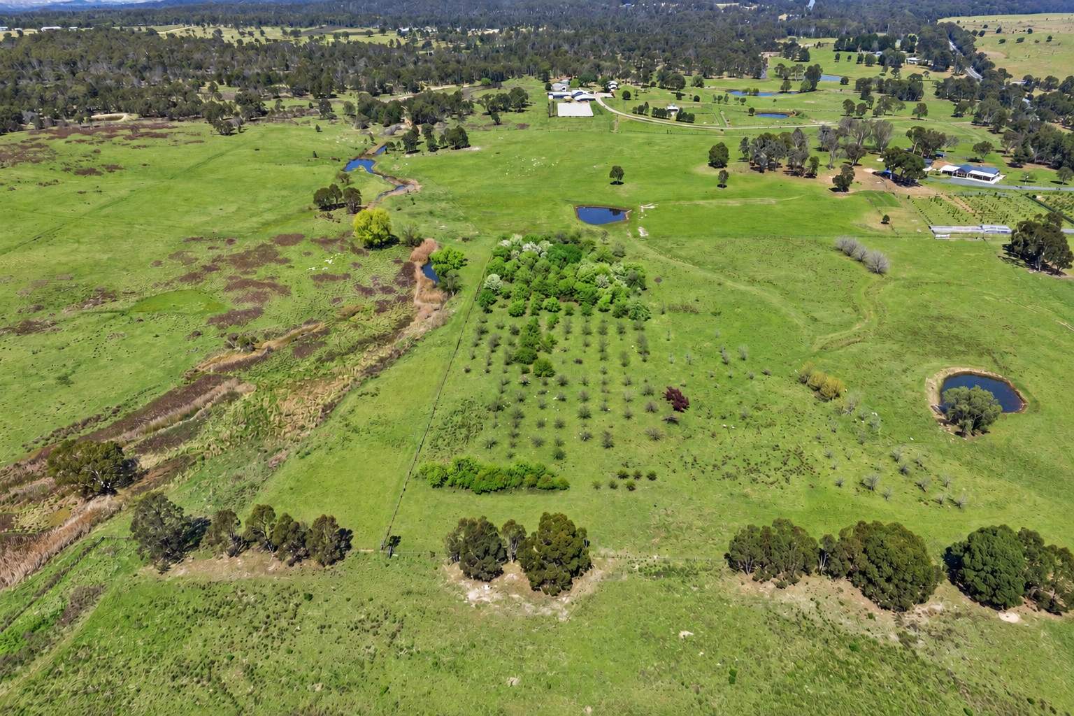 459 Jerrara Road, Marulan For Sale by Farmbuy.com - image 5