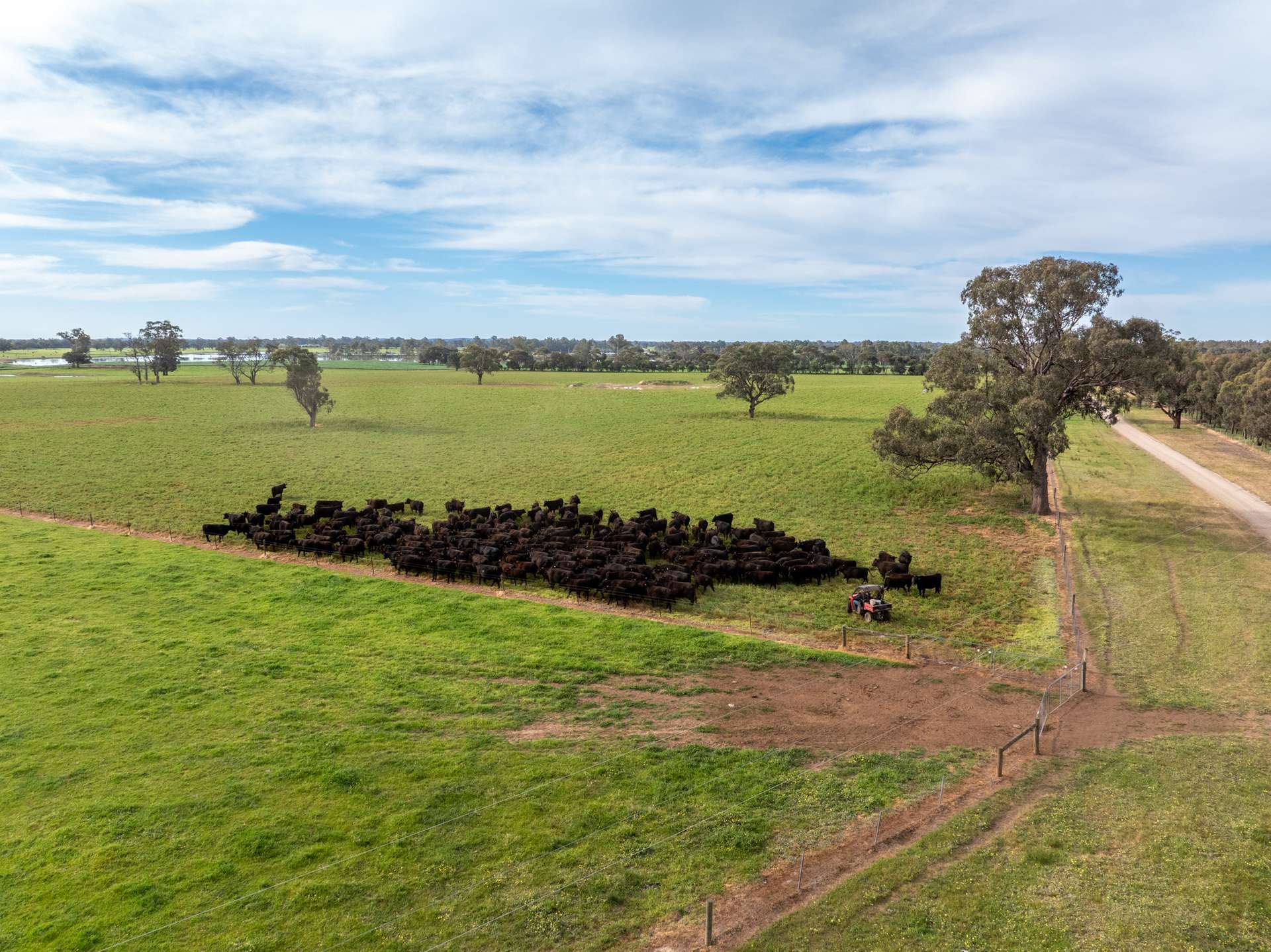 2 Nagambie-Rushworth Road, Bailieston For Sale by Farmbuy.com - image 13