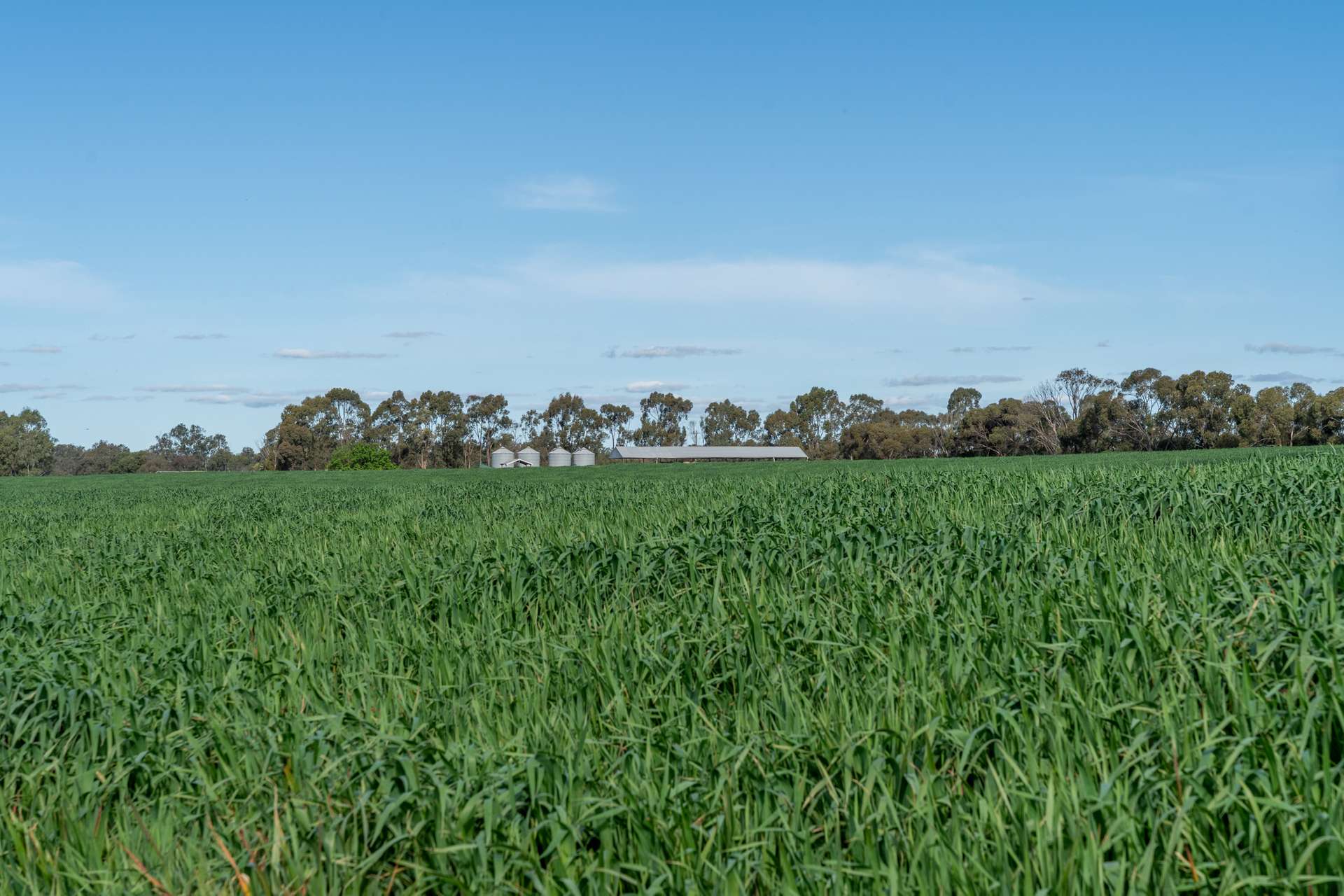 2 Nagambie-Rushworth Road, Bailieston For Sale by Farmbuy.com - image 16
