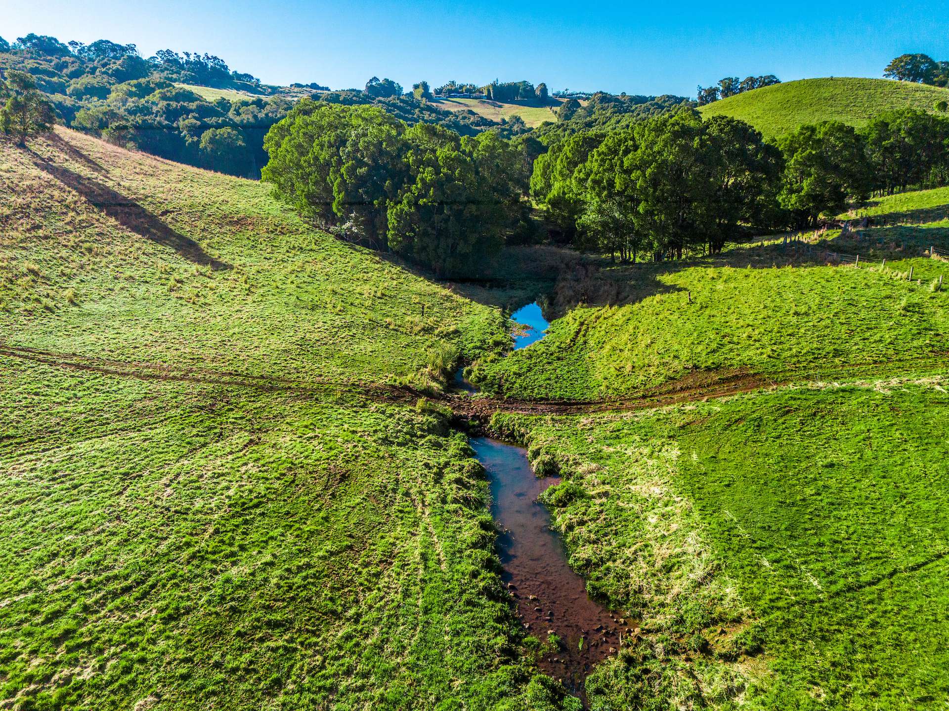152 Nashua Road, Fernleigh For Sale by Farmbuy.com - image 20