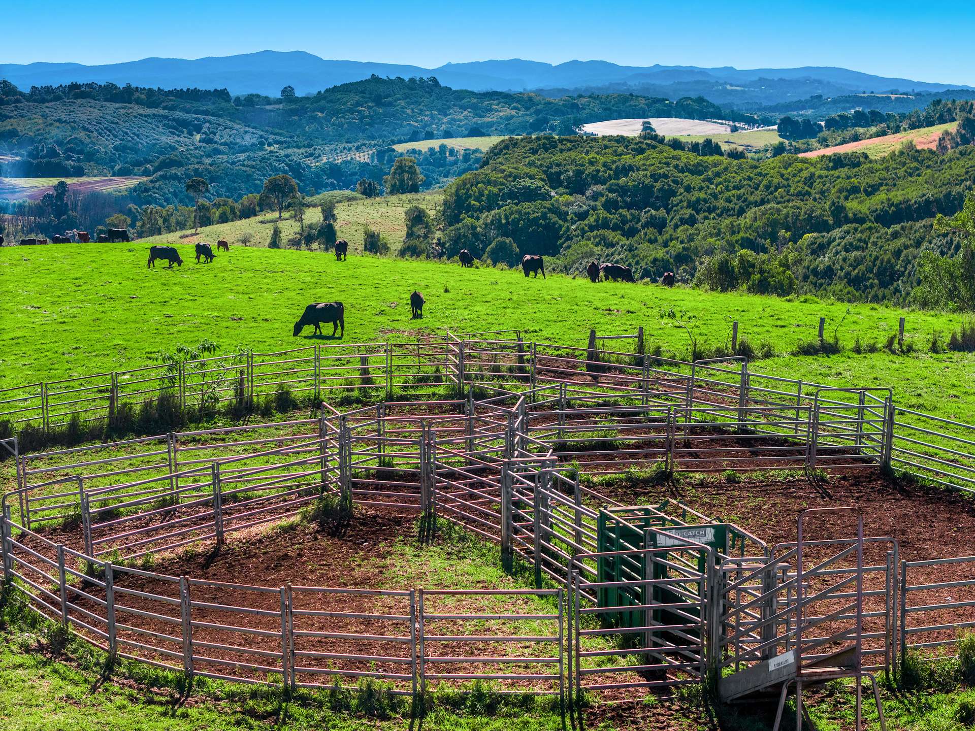 152 Nashua Road, Fernleigh For Sale by Farmbuy.com - image 22