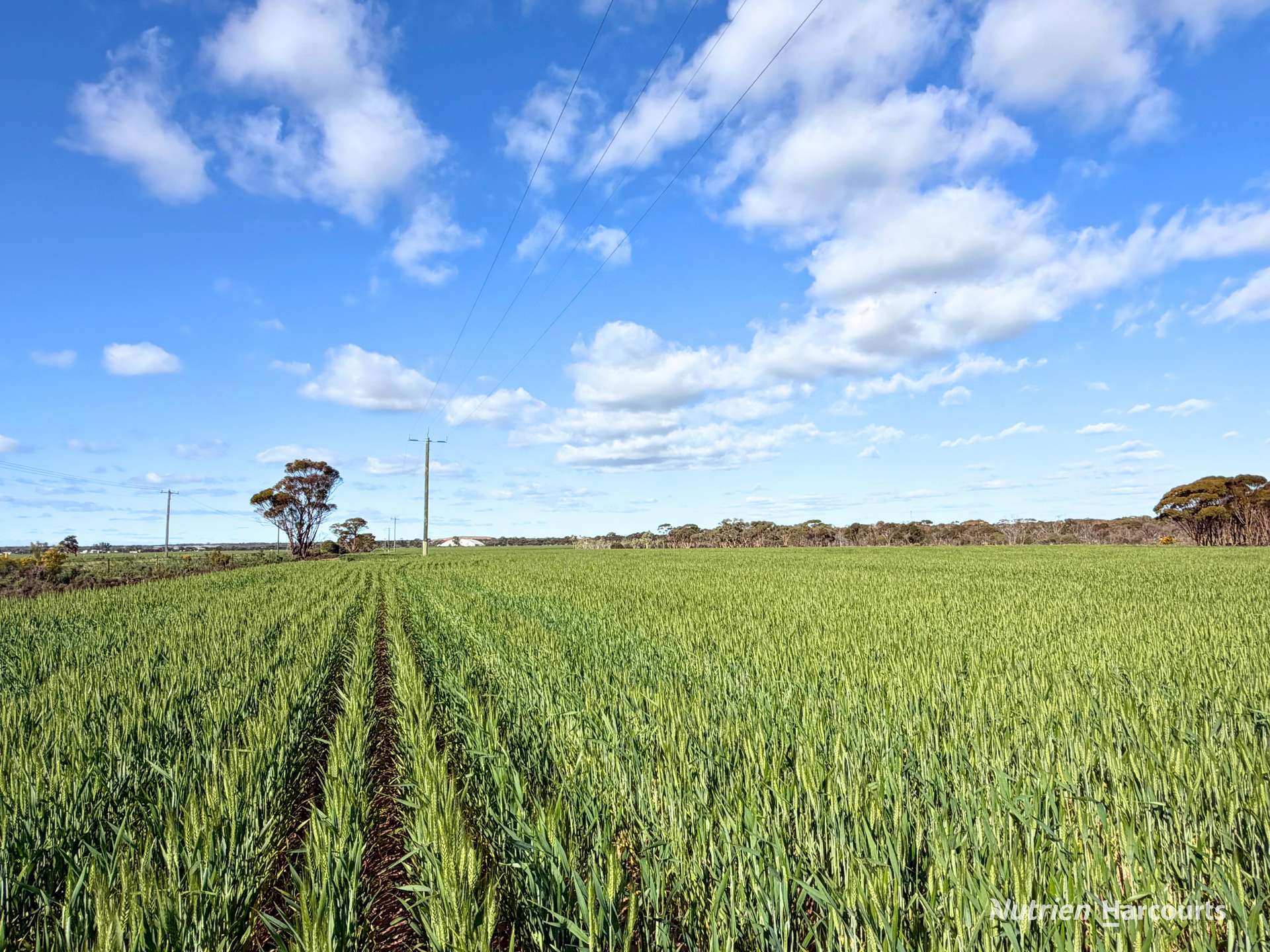 Lot 601 Goldfields Road, Merredin Expressions of Interest by Farmbuy.com - image 2