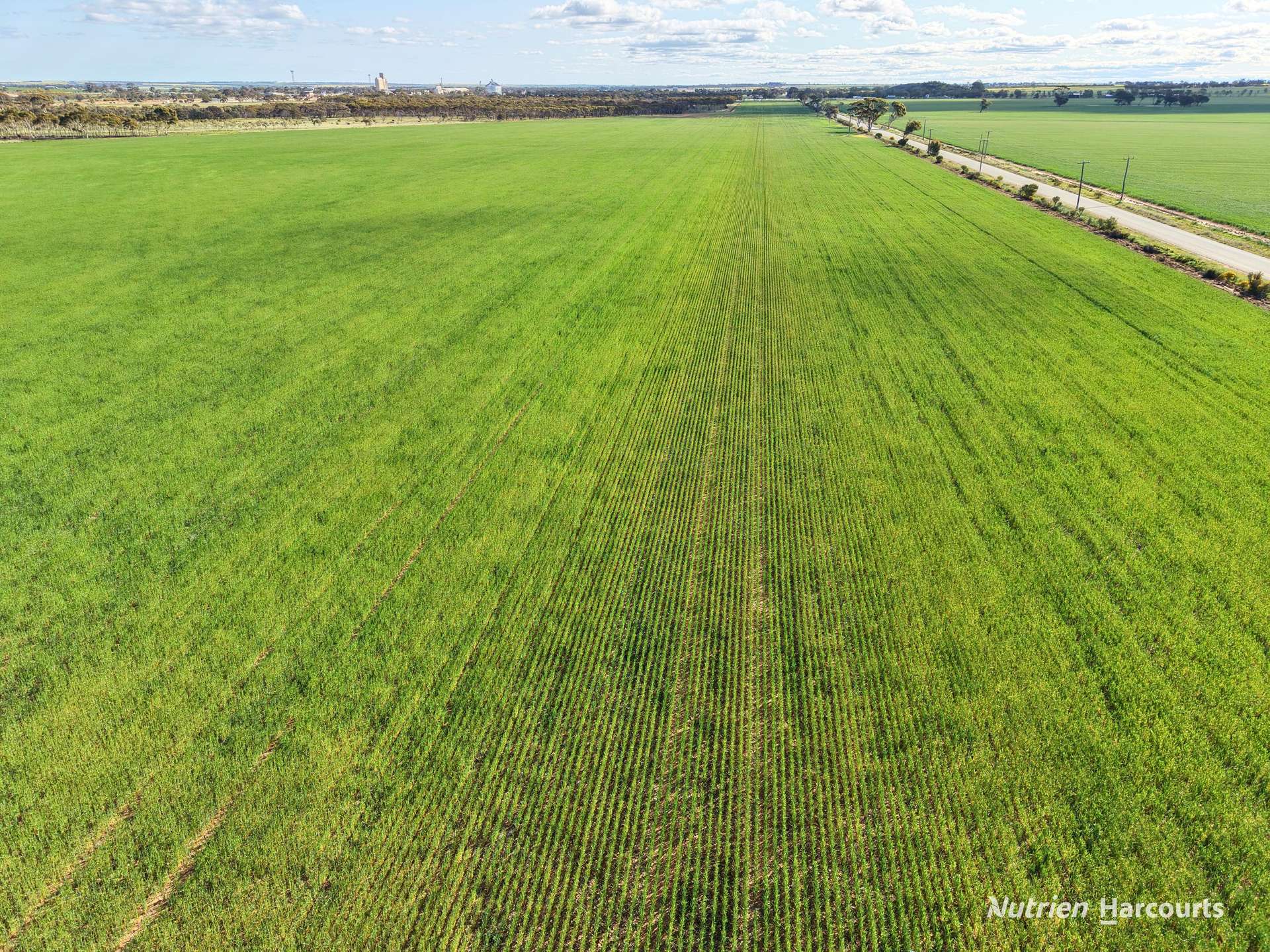 Lot 601 Goldfields Road, Merredin Expressions of Interest by Farmbuy.com - image 4