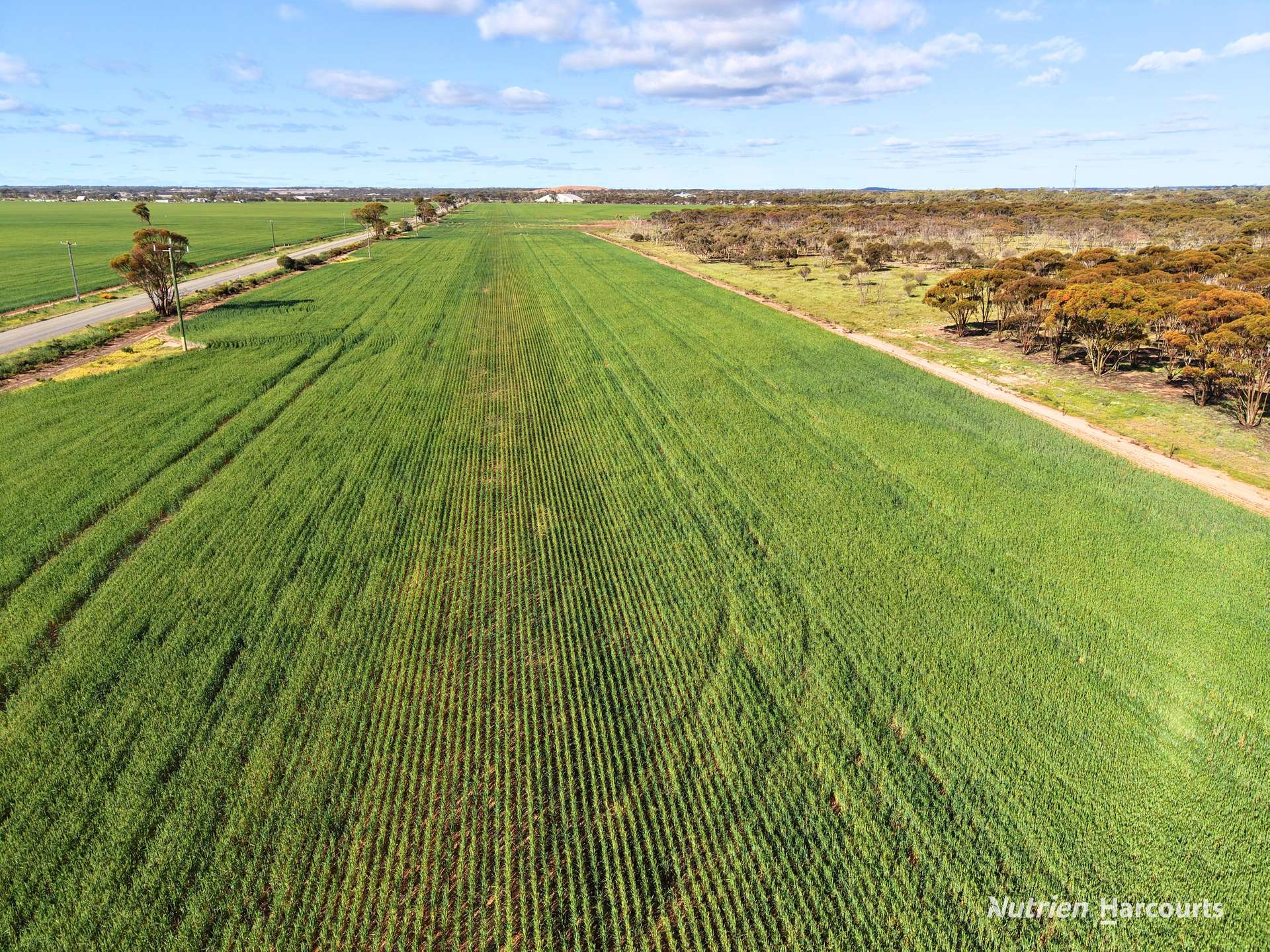 Lot 601 Goldfields Road, Merredin Expressions of Interest by Farmbuy.com - image 7
