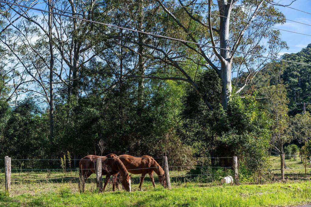 227 Little Jilliby Road, Jilliby For Sale by Farmbuy.com - image 25