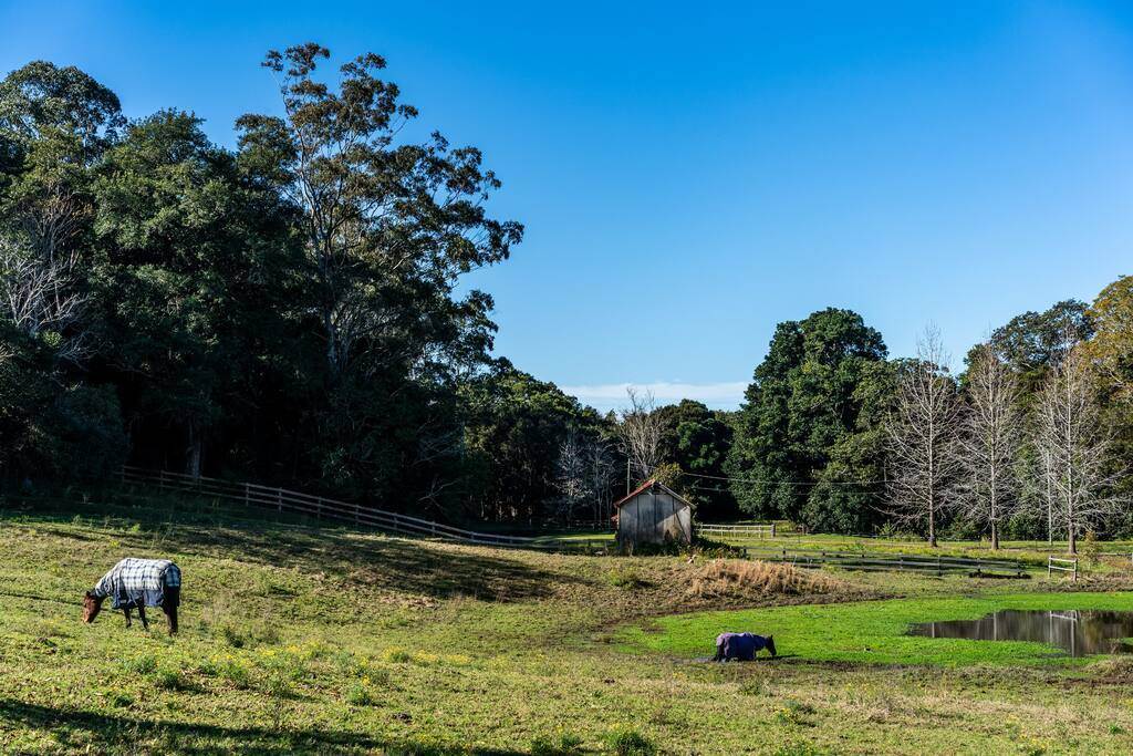 227 Little Jilliby Road, Jilliby For Sale by Farmbuy.com - image 26