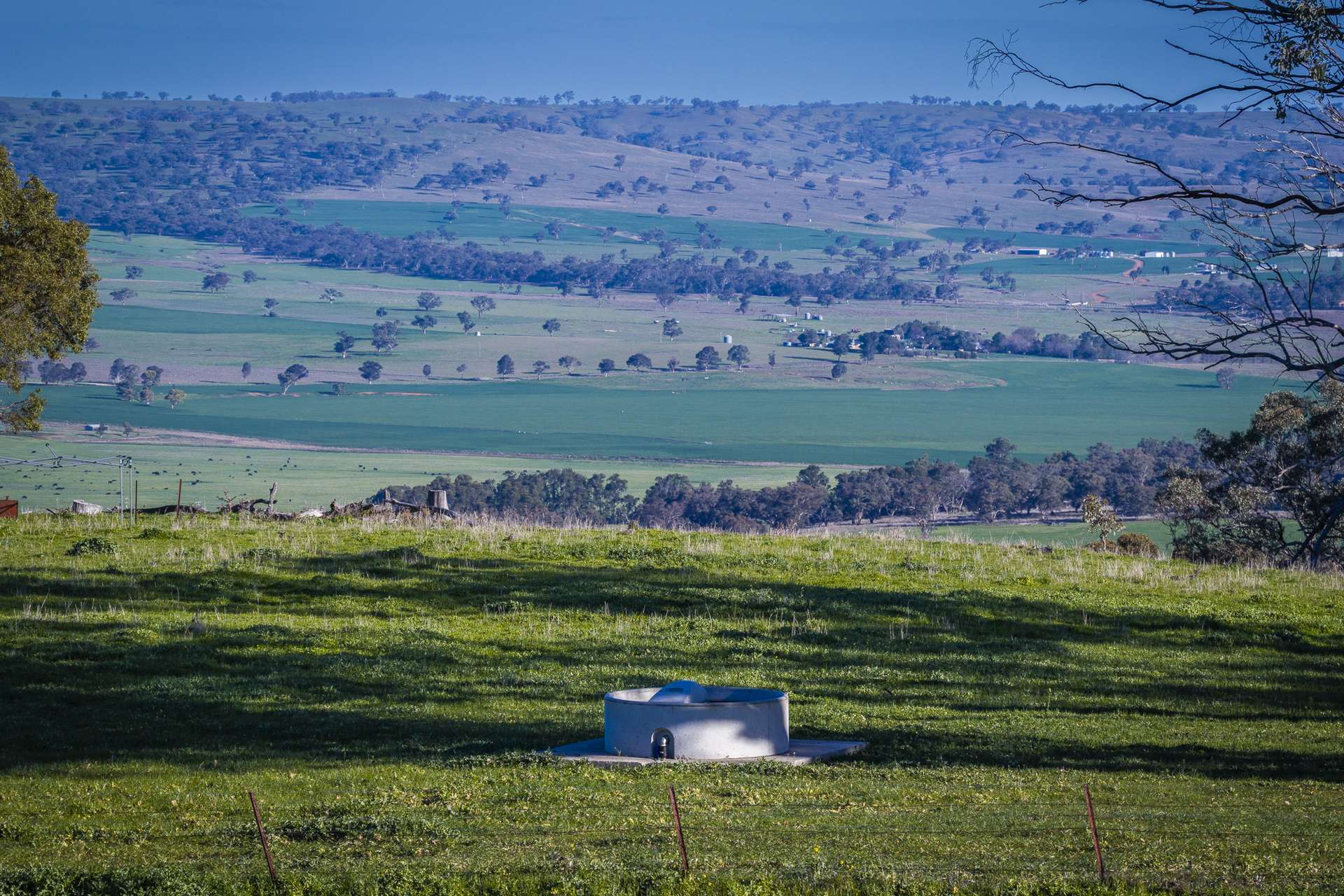 291 Gundare Road, Coolah Auction by Farmbuy.com - image 17