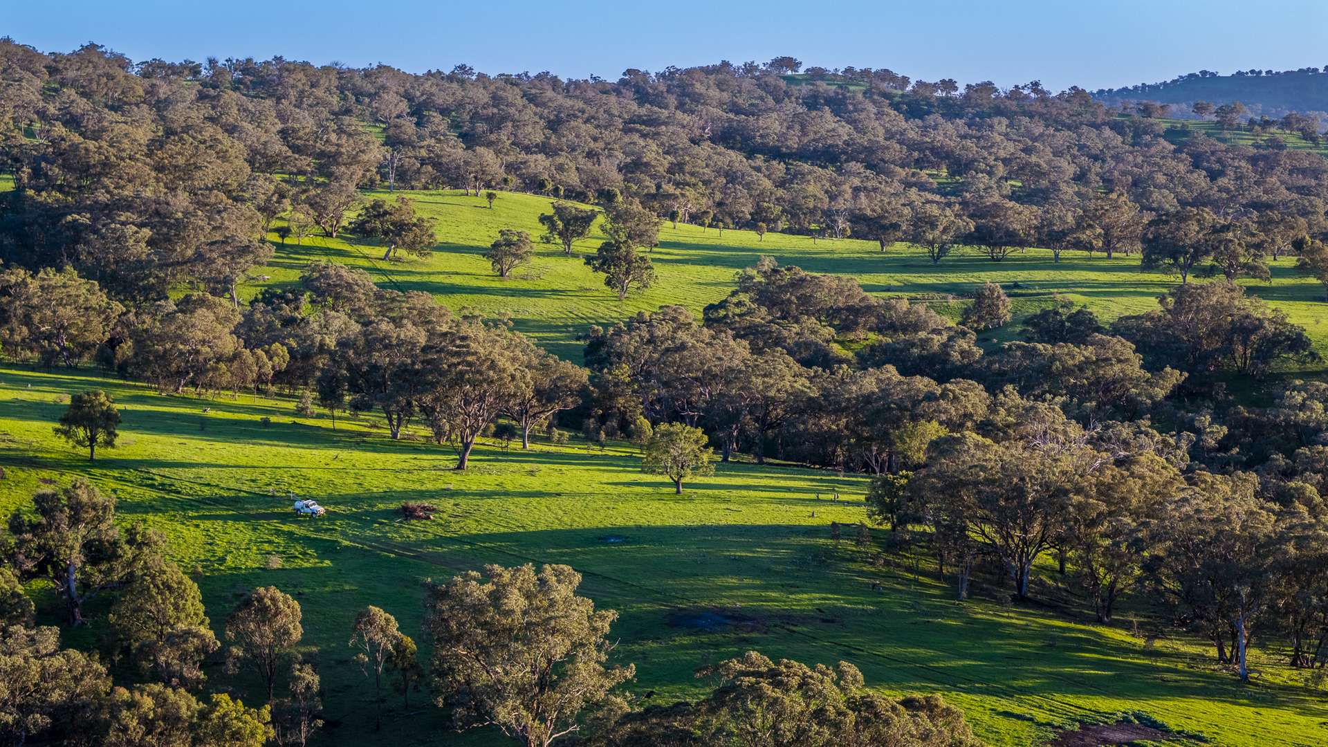 291 Gundare Road, Coolah Auction by Farmbuy.com - image 13