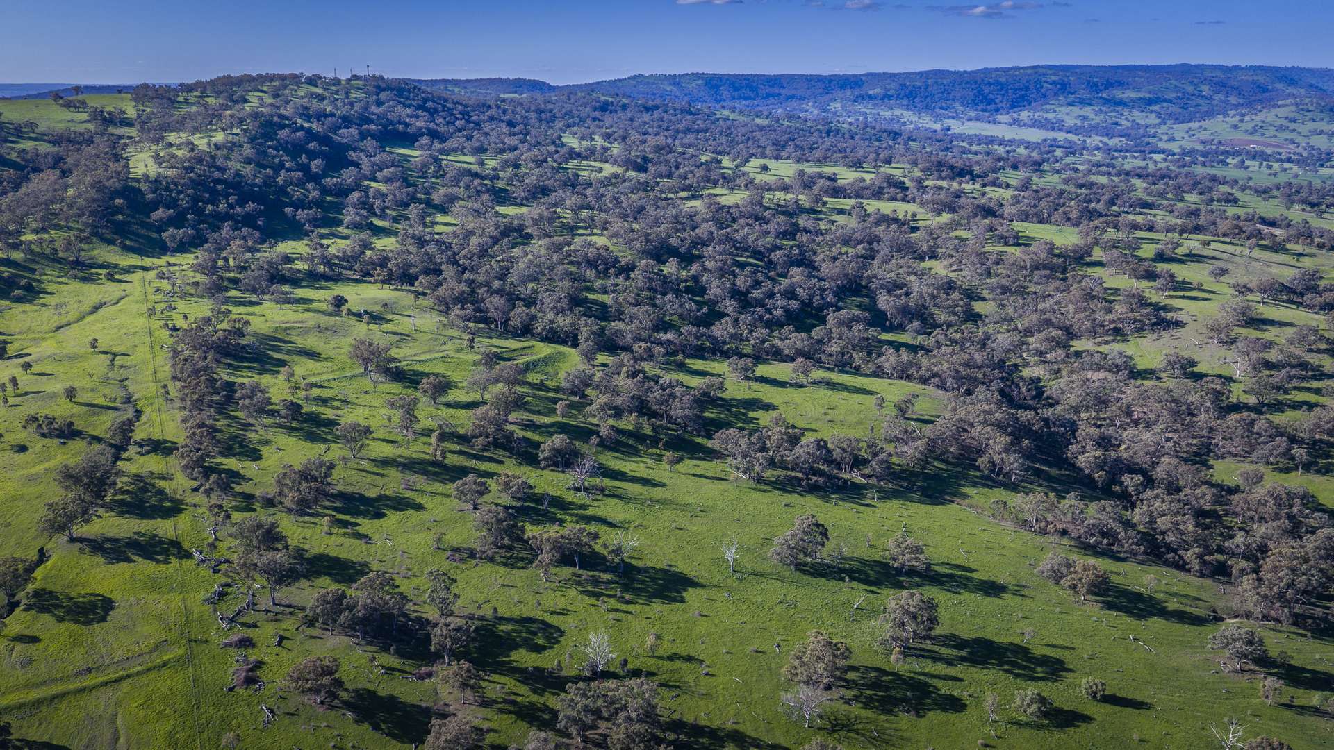 291 Gundare Road, Coolah Auction by Farmbuy.com - image 15