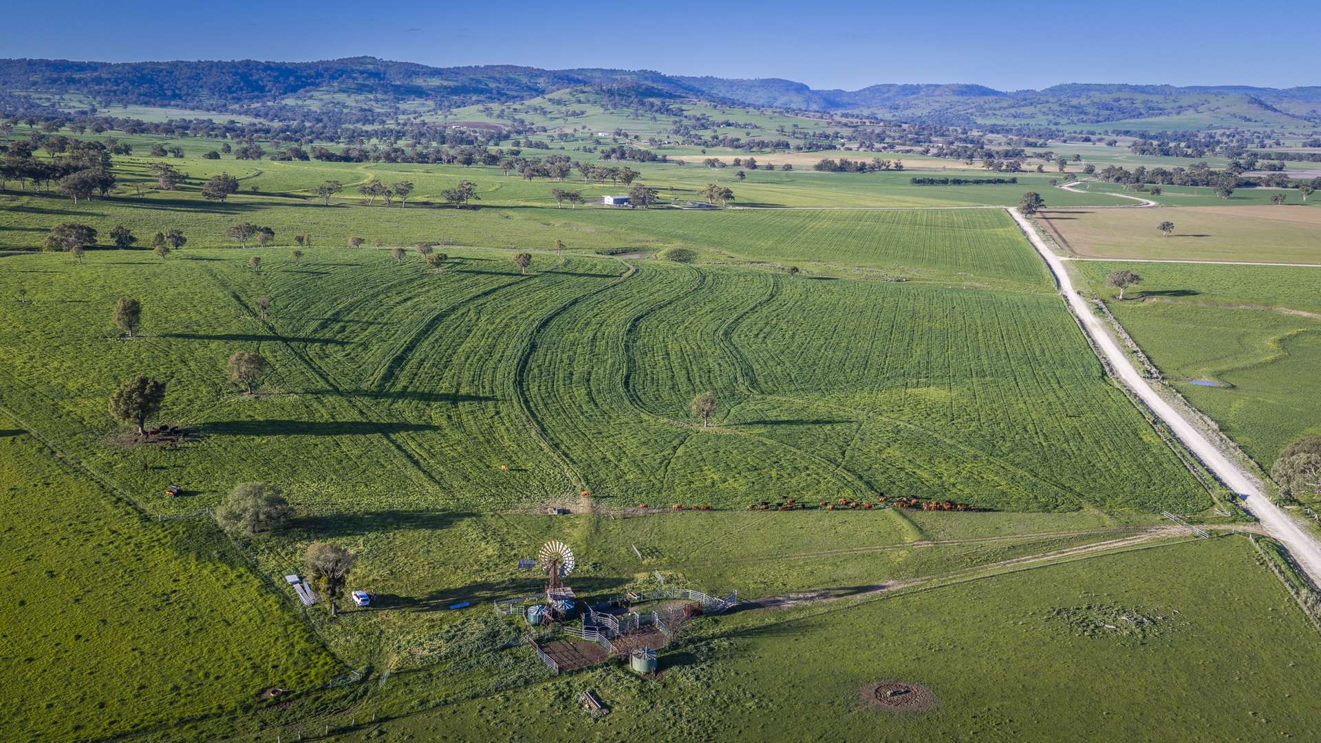 291 Gundare Road, Coolah Auction by Farmbuy.com - image 23