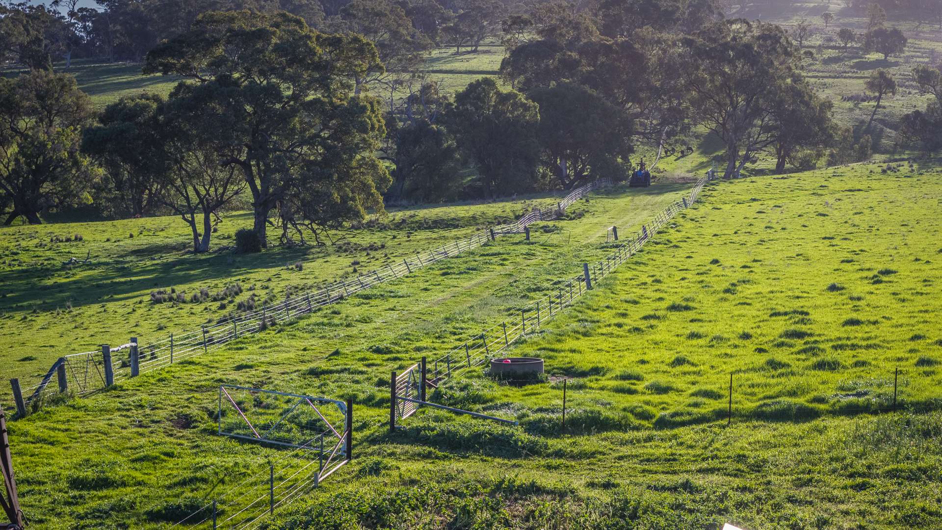 291 Gundare Road, Coolah Auction by Farmbuy.com - image 12
