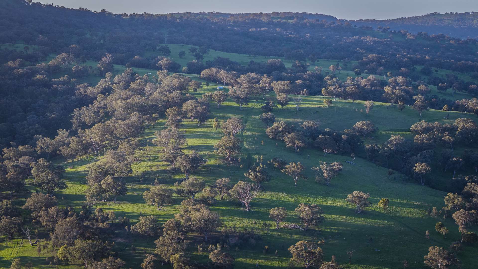 291 Gundare Road, Coolah Auction by Farmbuy.com - image 25