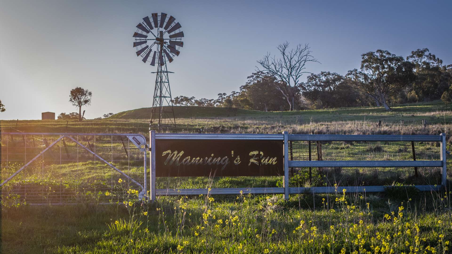 291 Gundare Road, Coolah Auction by Farmbuy.com - image 31