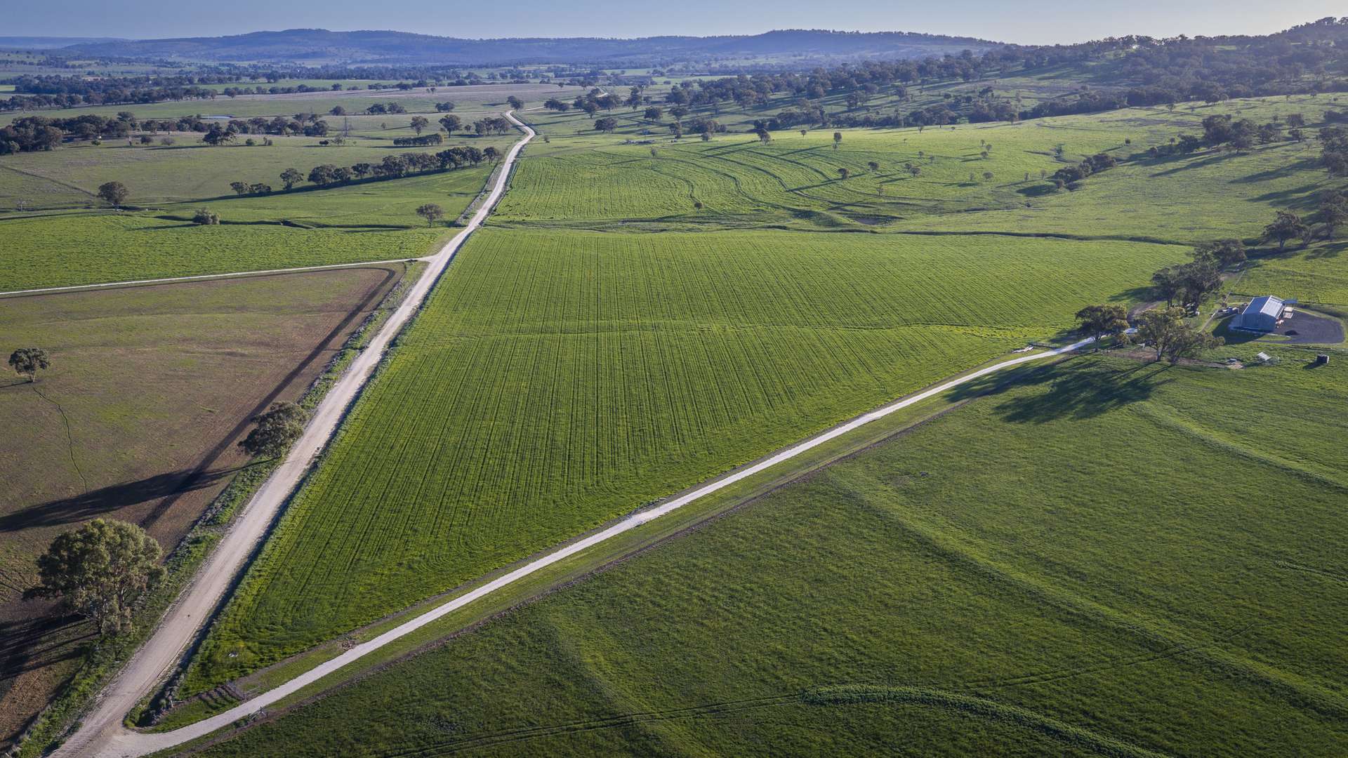 291 Gundare Road, Coolah Auction by Farmbuy.com - image 4