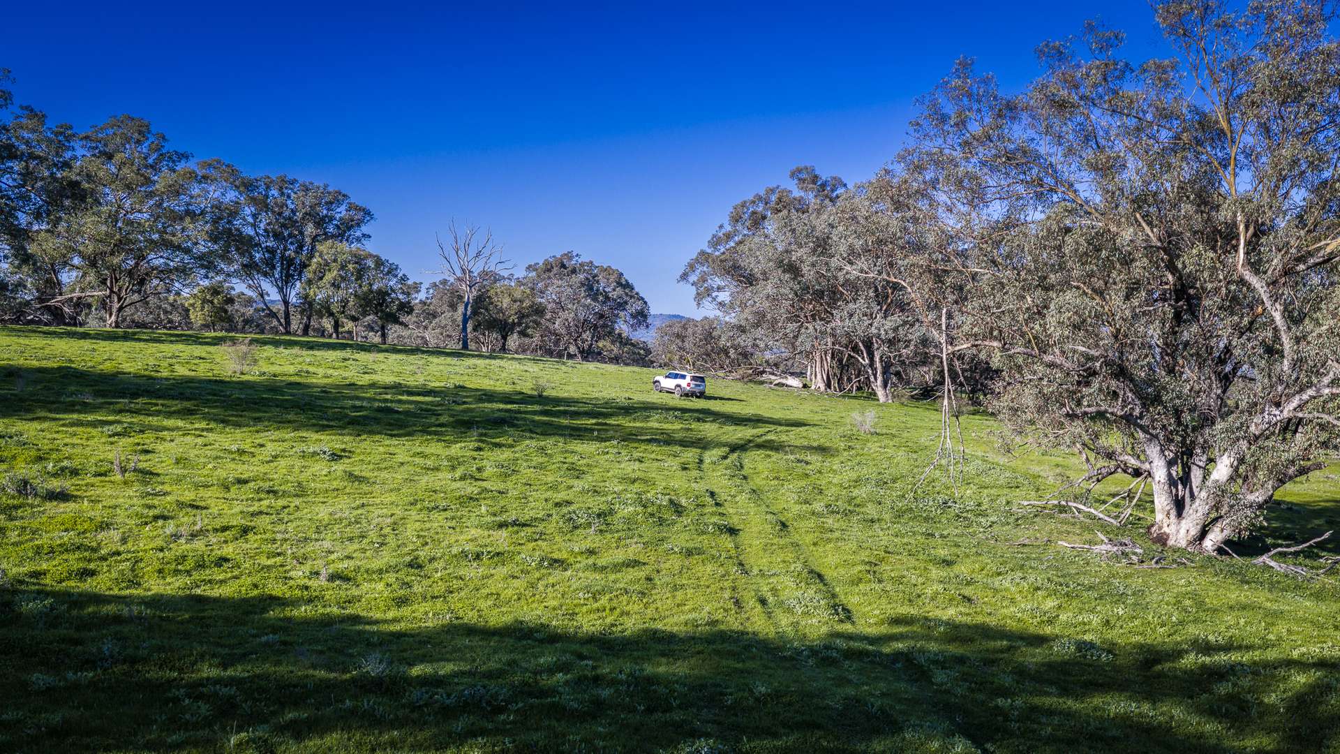 291 Gundare Road, Coolah Auction by Farmbuy.com - image 9