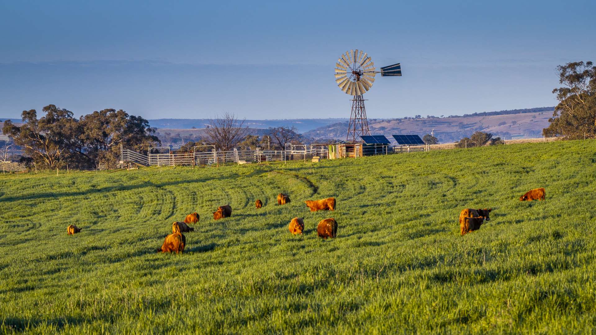 291 Gundare Road, Coolah Auction by Farmbuy.com - image 6