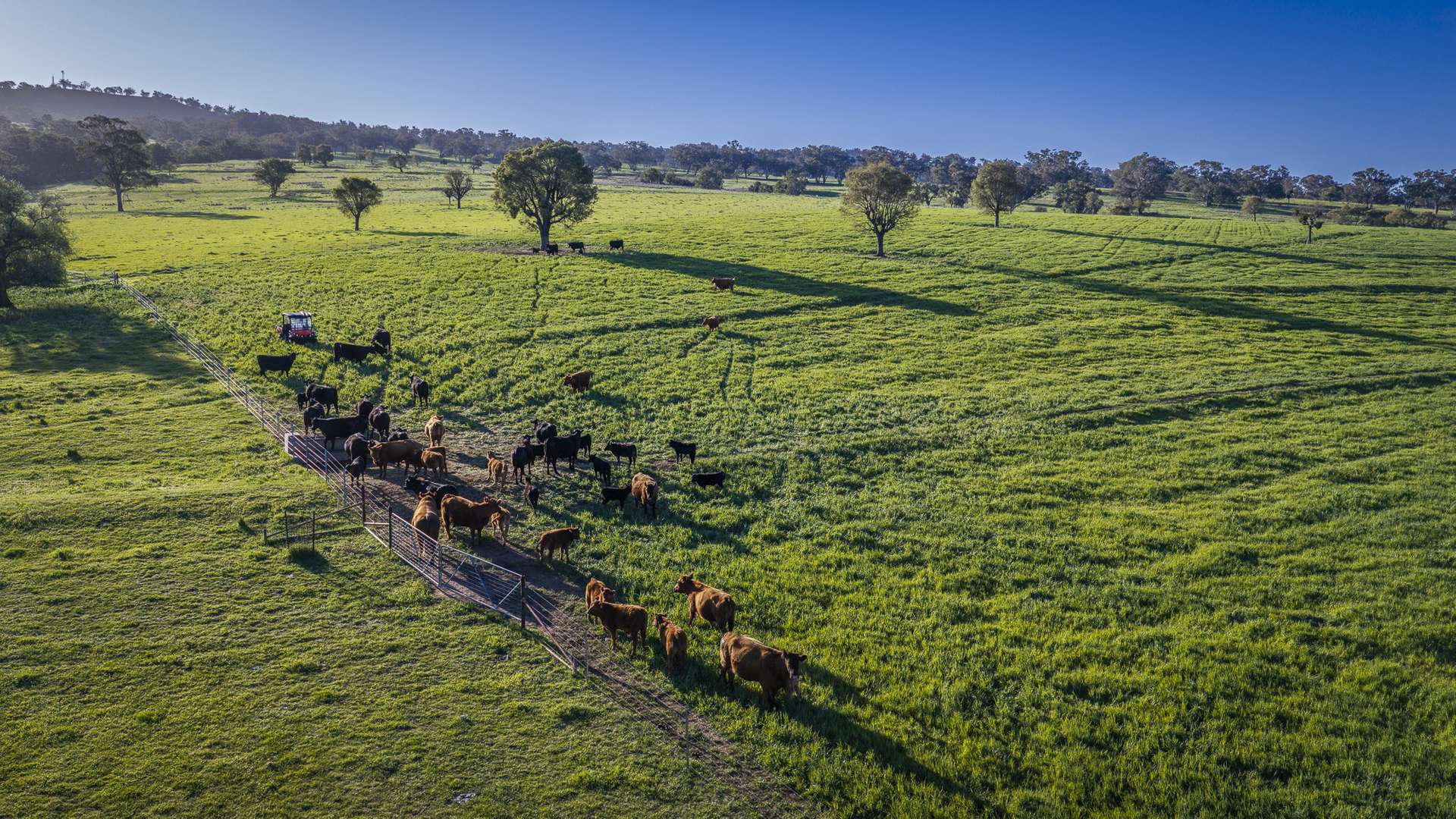 291 Gundare Road, Coolah Auction by Farmbuy.com - image 21