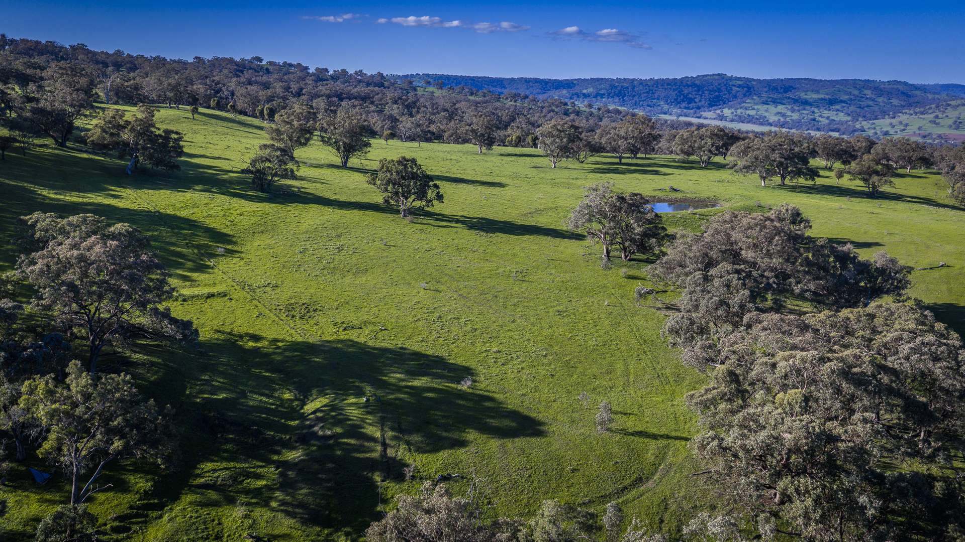 291 Gundare Road, Coolah Auction by Farmbuy.com - image 16