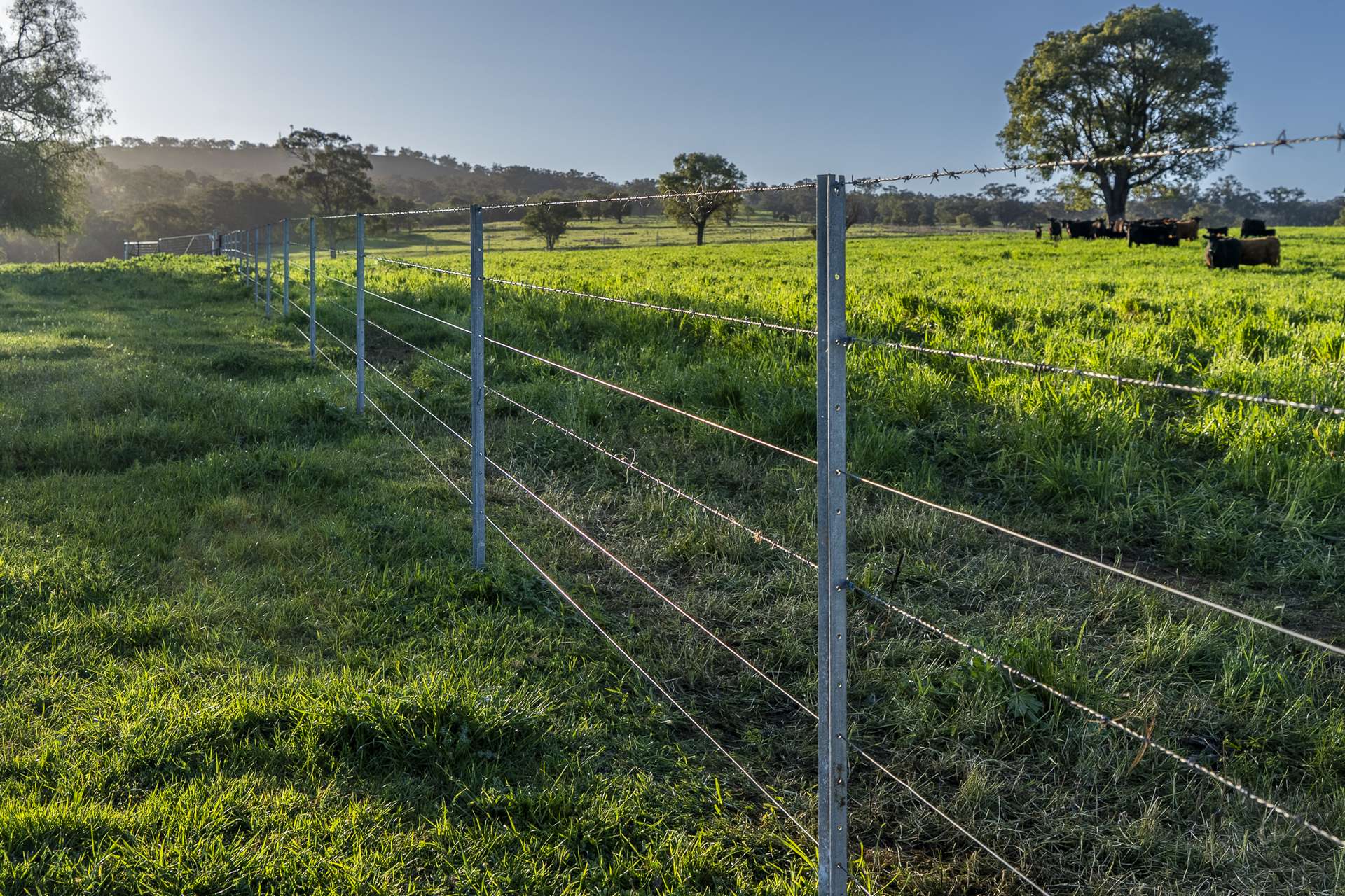 291 Gundare Road, Coolah Auction by Farmbuy.com - image 27