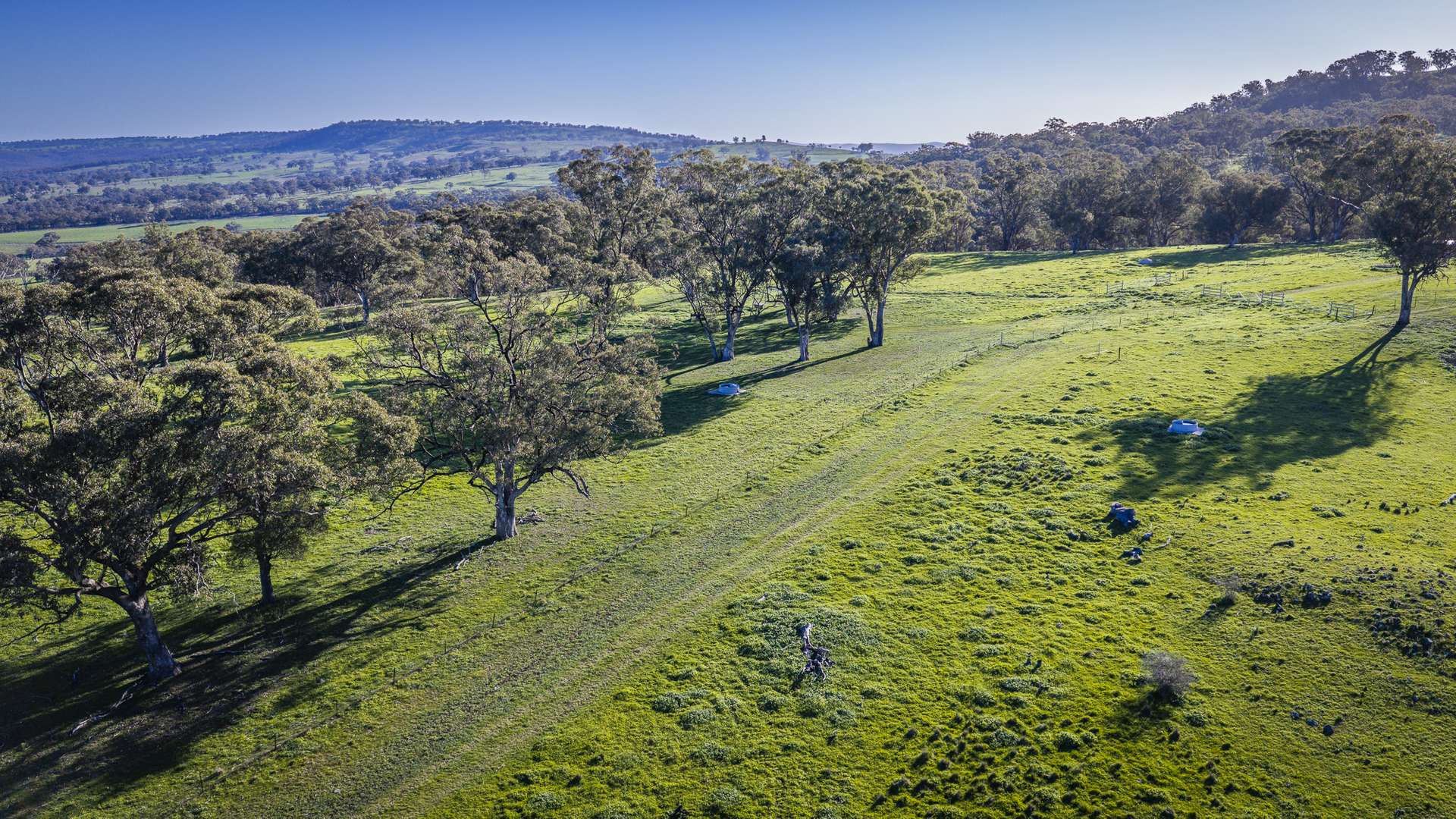 291 Gundare Road, Coolah Auction by Farmbuy.com - image 11