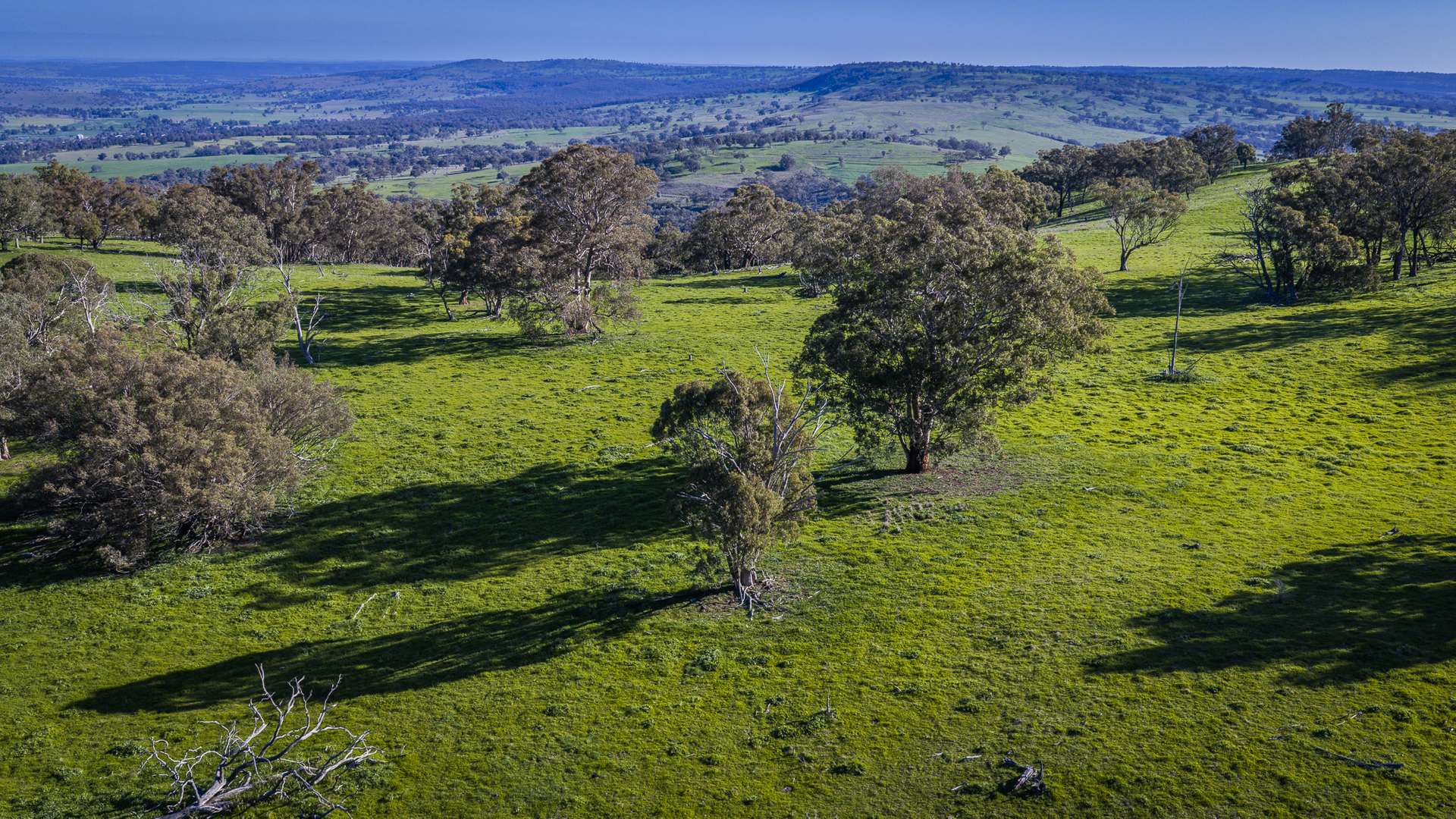 291 Gundare Road, Coolah Auction by Farmbuy.com - image 14