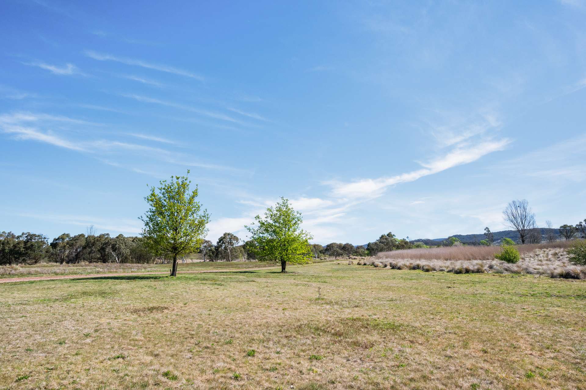 4715 Cooma Road, Krawarree For Sale by Farmbuy.com - image 19
