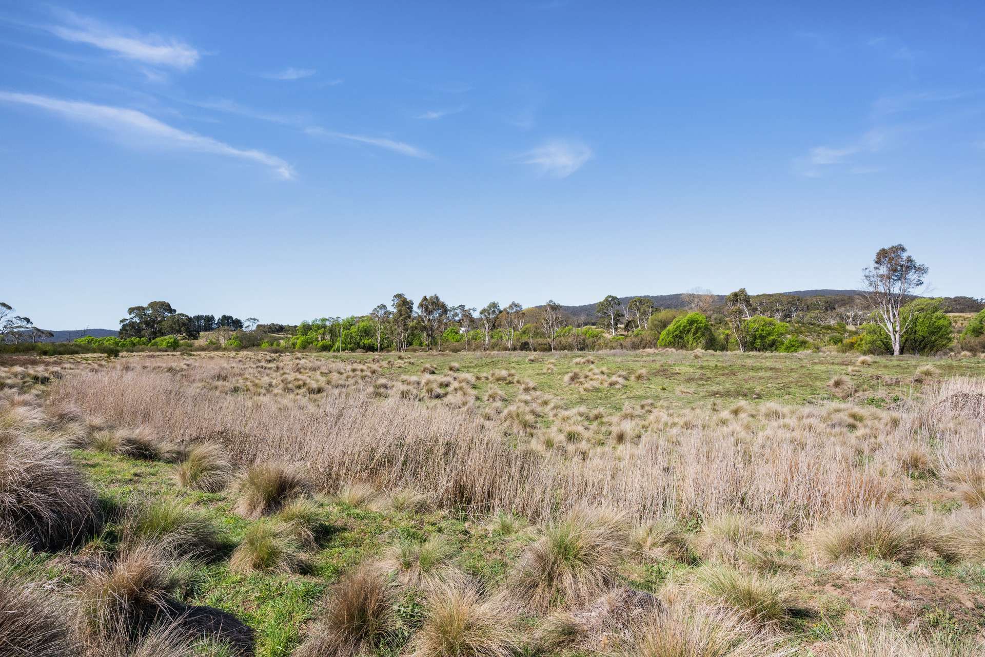4715 Cooma Road, Krawarree For Sale by Farmbuy.com - image 21