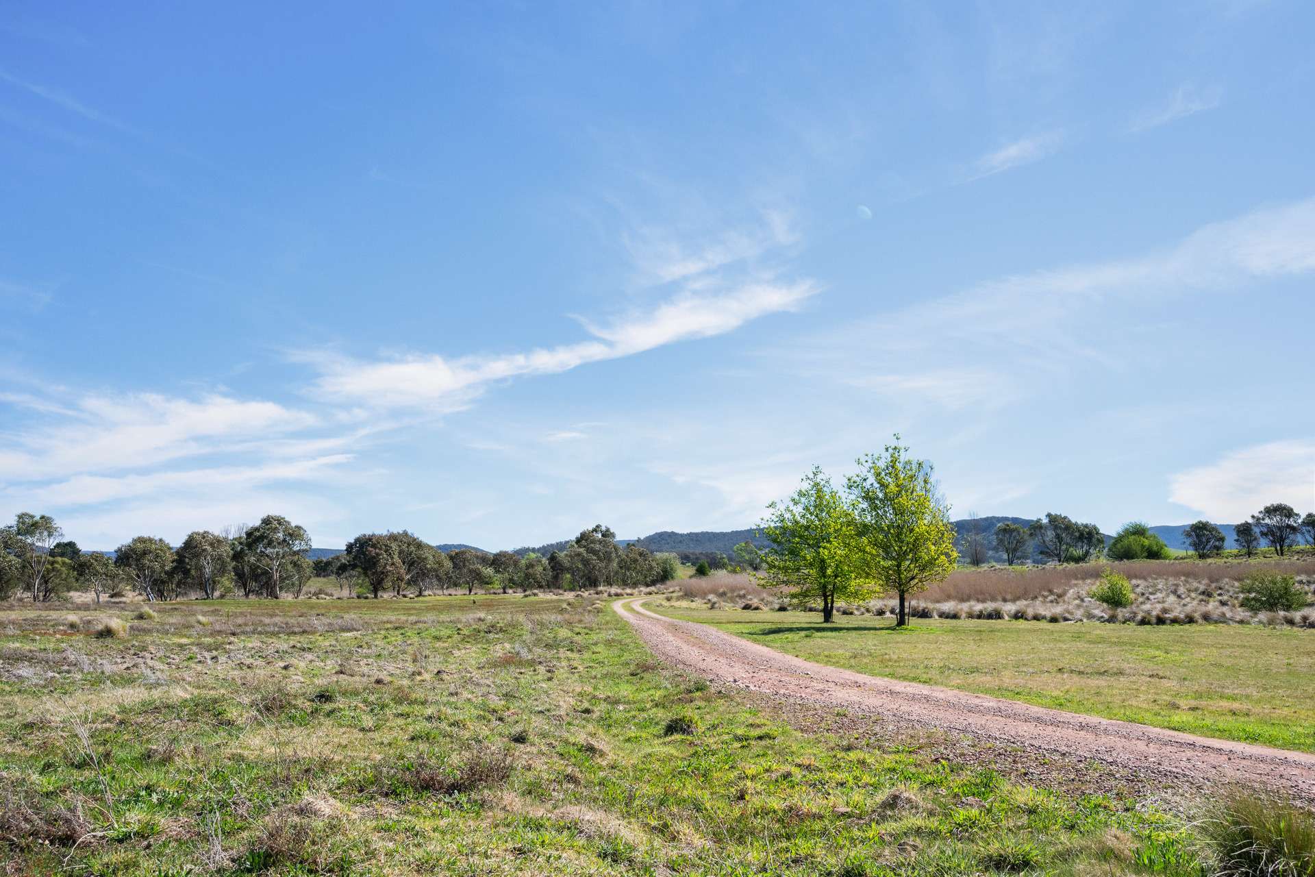 4715 Cooma Road, Krawarree For Sale by Farmbuy.com - image 8