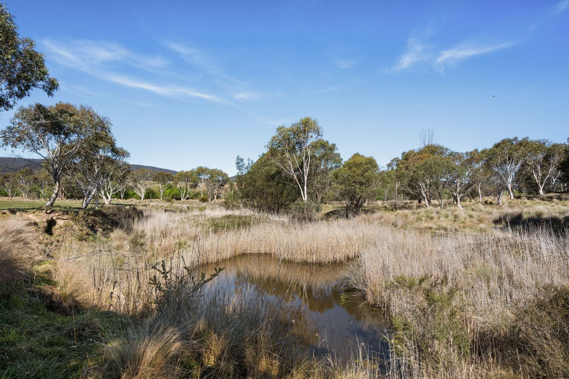4715 Cooma Road, Krawarree For Sale by Farmbuy.com - image 14