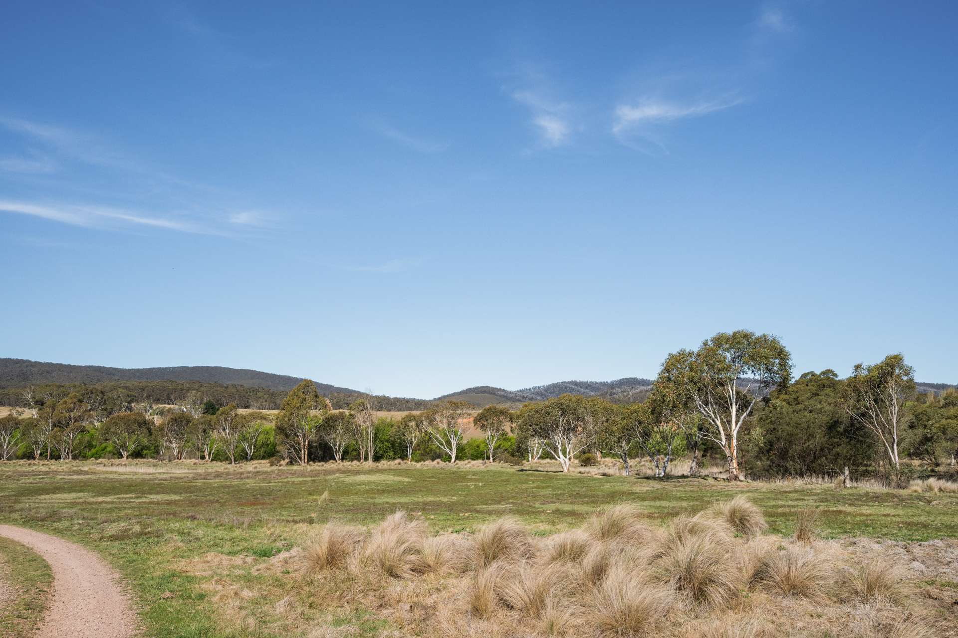 4715 Cooma Road, Krawarree For Sale by Farmbuy.com - image 11
