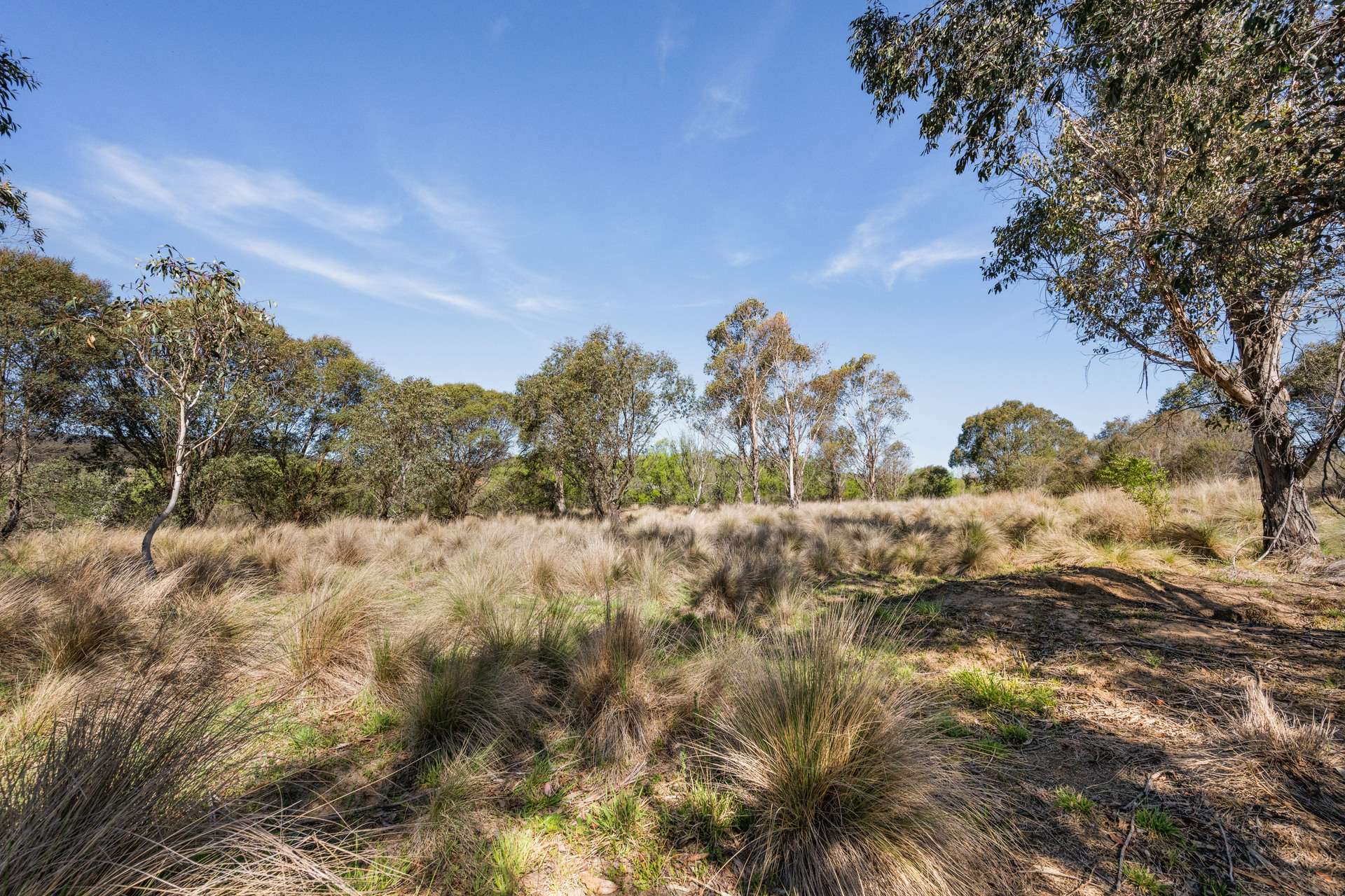 4715 Cooma Road, Krawarree For Sale by Farmbuy.com - image 17