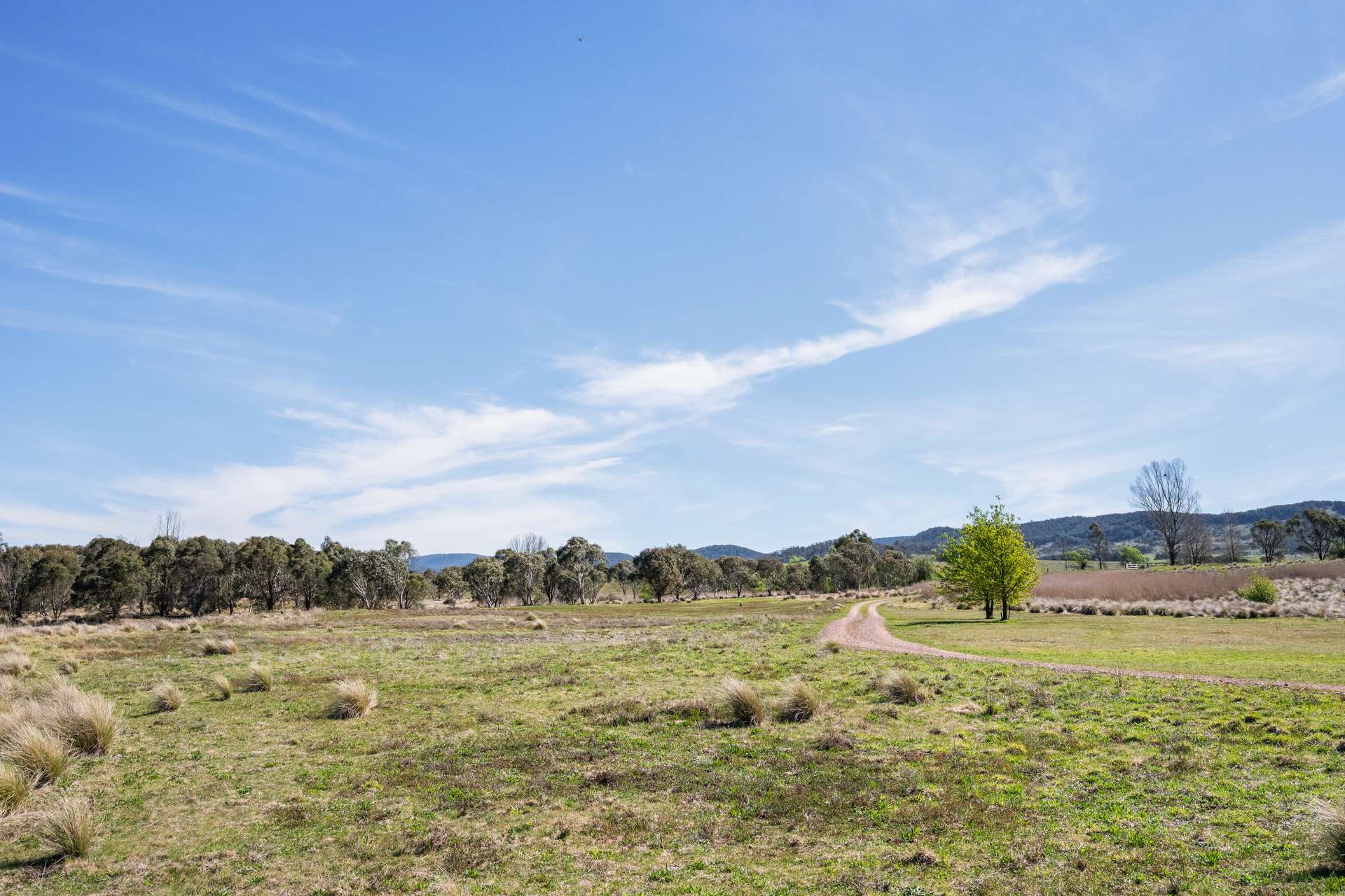 4715 Cooma Road, Krawarree For Sale by Farmbuy.com - image 20