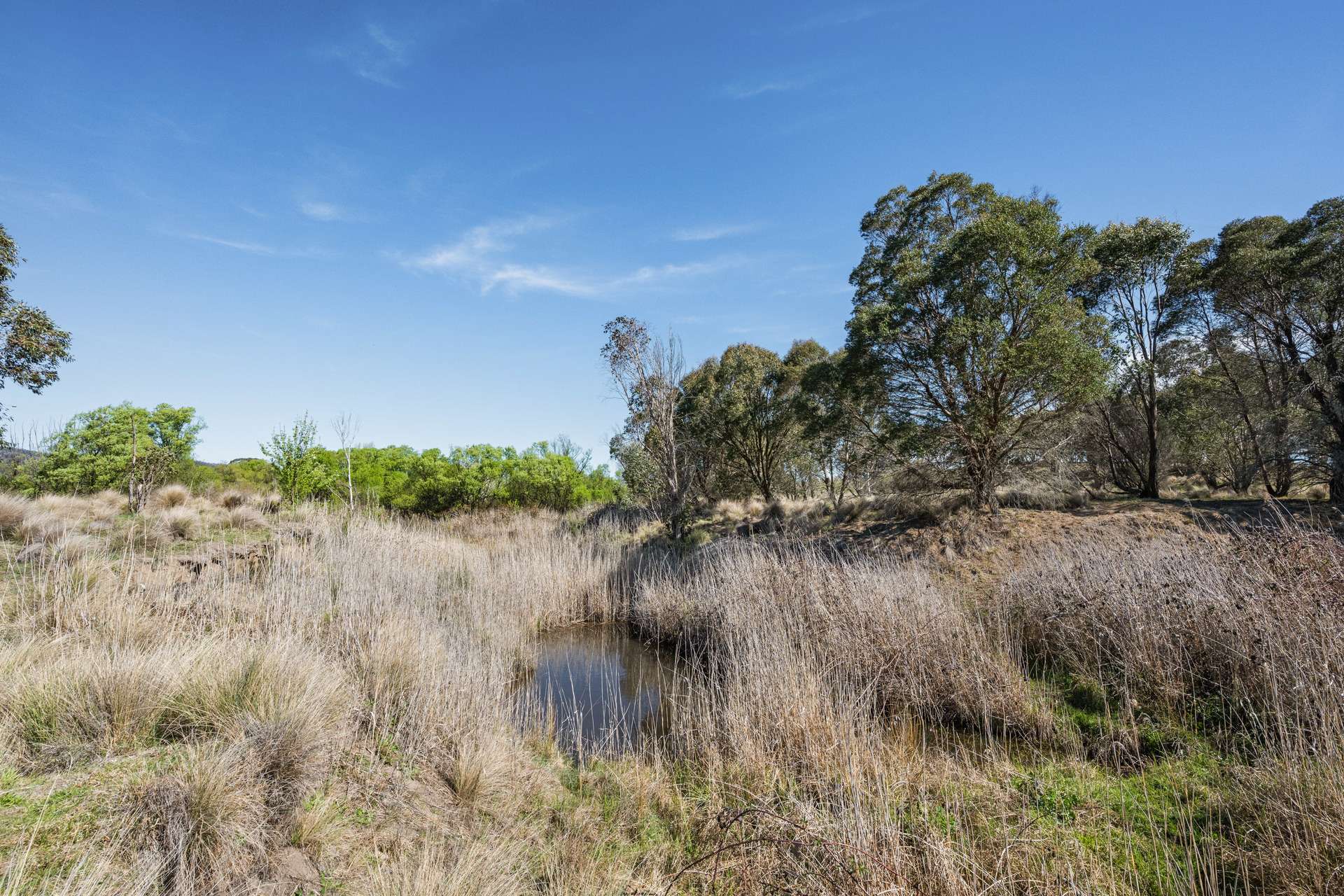 4715 Cooma Road, Krawarree For Sale by Farmbuy.com - image 15
