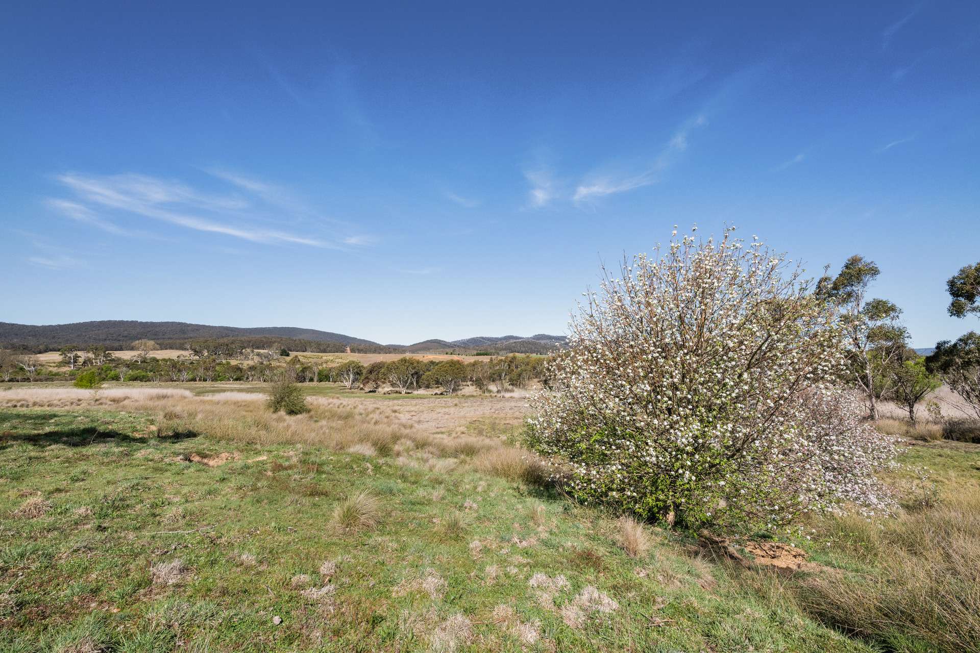 4715 Cooma Road, Krawarree For Sale by Farmbuy.com - image 33