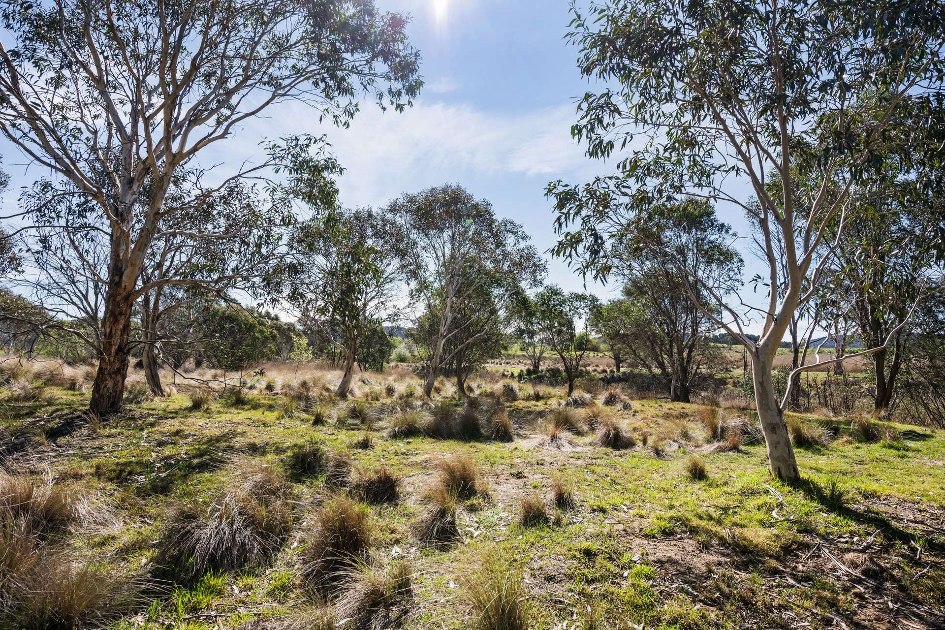 4715 Cooma Road, Krawarree For Sale by Farmbuy.com - image 18