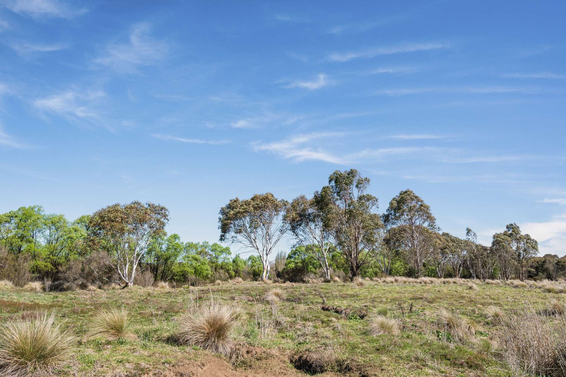 4715 Cooma Road, Krawarree For Sale by Farmbuy.com - image 22
