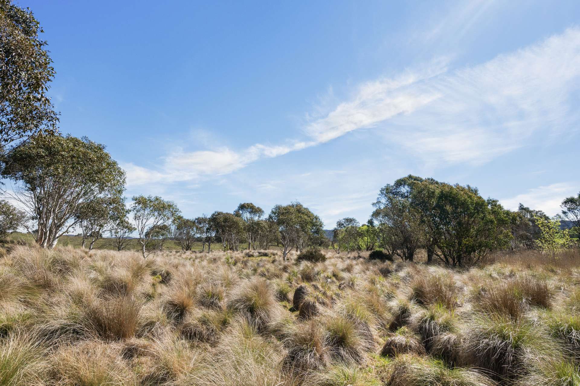 4715 Cooma Road, Krawarree For Sale by Farmbuy.com - image 32