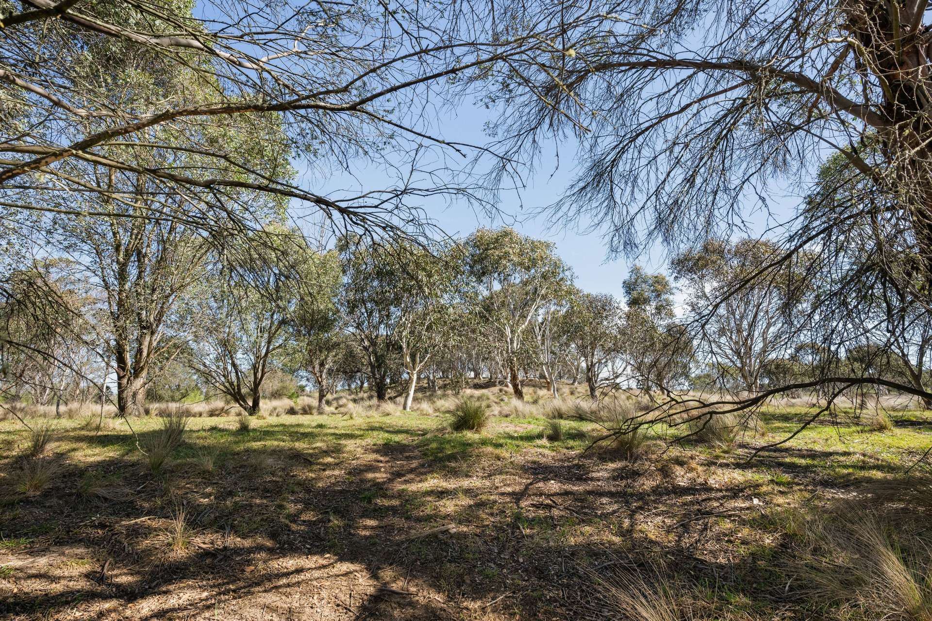 4715 Cooma Road, Krawarree For Sale by Farmbuy.com - image 31