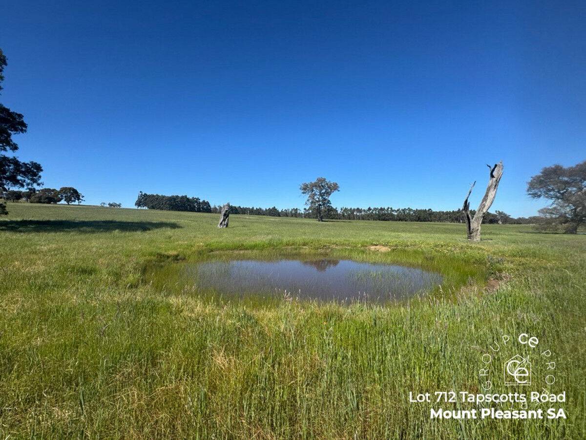 Lot 711 Tapscotts Road, Mount Pleasant For Sale by Farmbuy.com - image 14