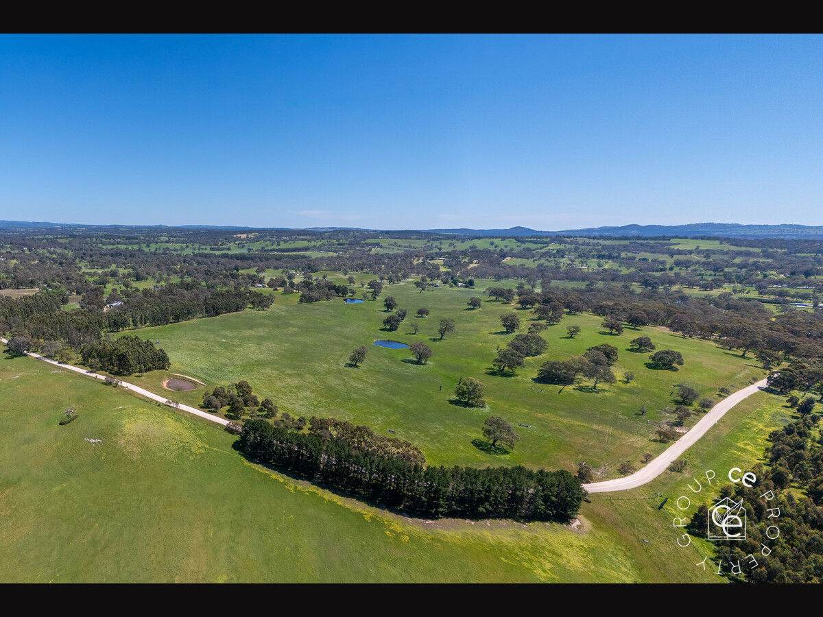Lot 711 Tapscotts Road, Mount Pleasant For Sale by Farmbuy.com - image 24