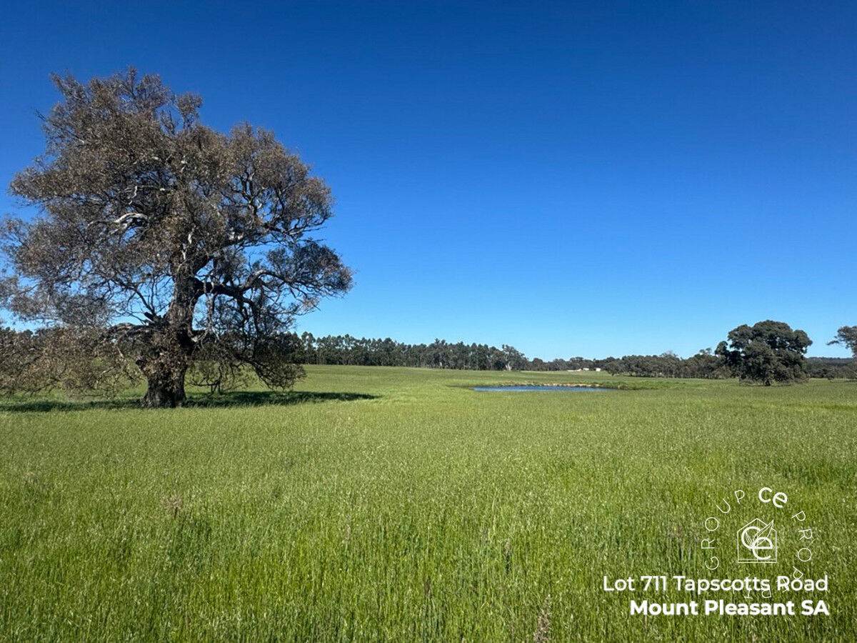 Lot 711 Tapscotts Road, Mount Pleasant For Sale by Farmbuy.com - image 6