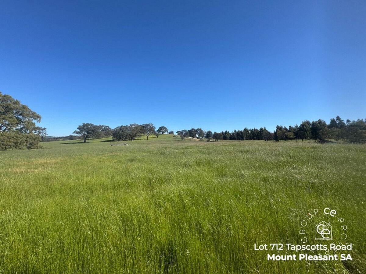 Lot 711 Tapscotts Road, Mount Pleasant For Sale by Farmbuy.com - image 20