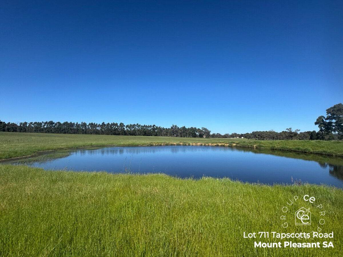Lot 711 Tapscotts Road, Mount Pleasant For Sale by Farmbuy.com - image 7