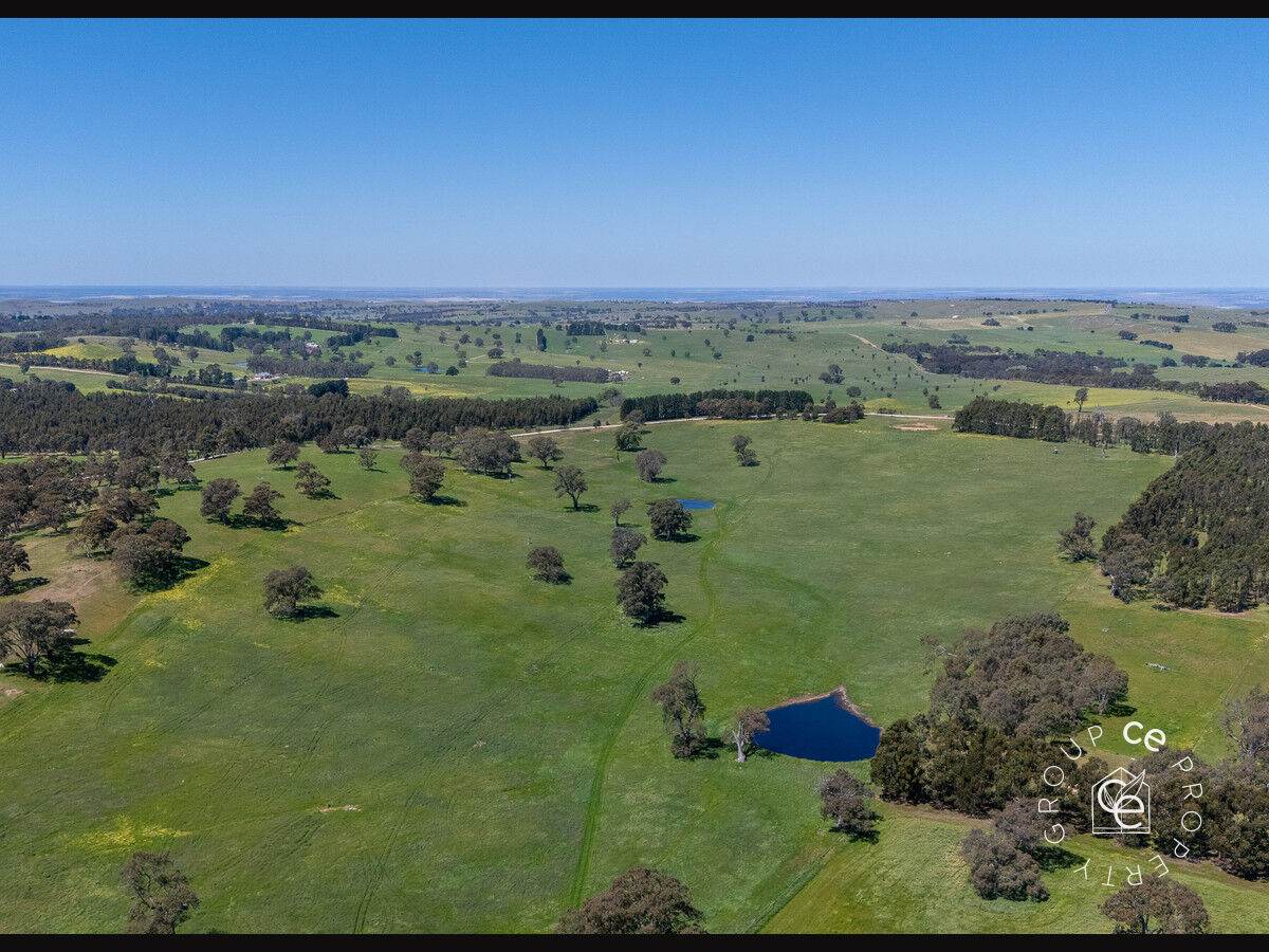Lot 711 Tapscotts Road, Mount Pleasant For Sale by Farmbuy.com - image 26